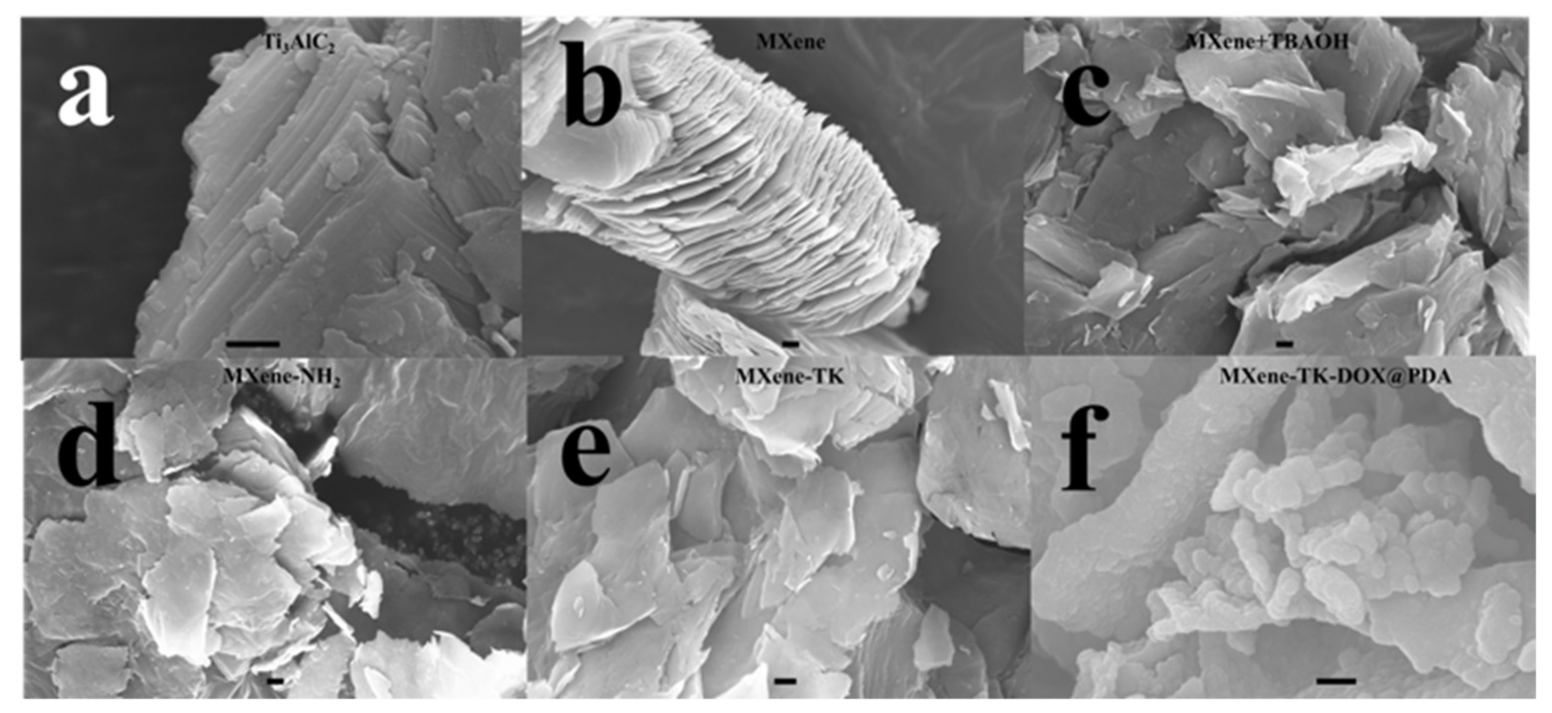 Nanomaterials 12 04392 g003 Nanomaterials 12 04392 g003