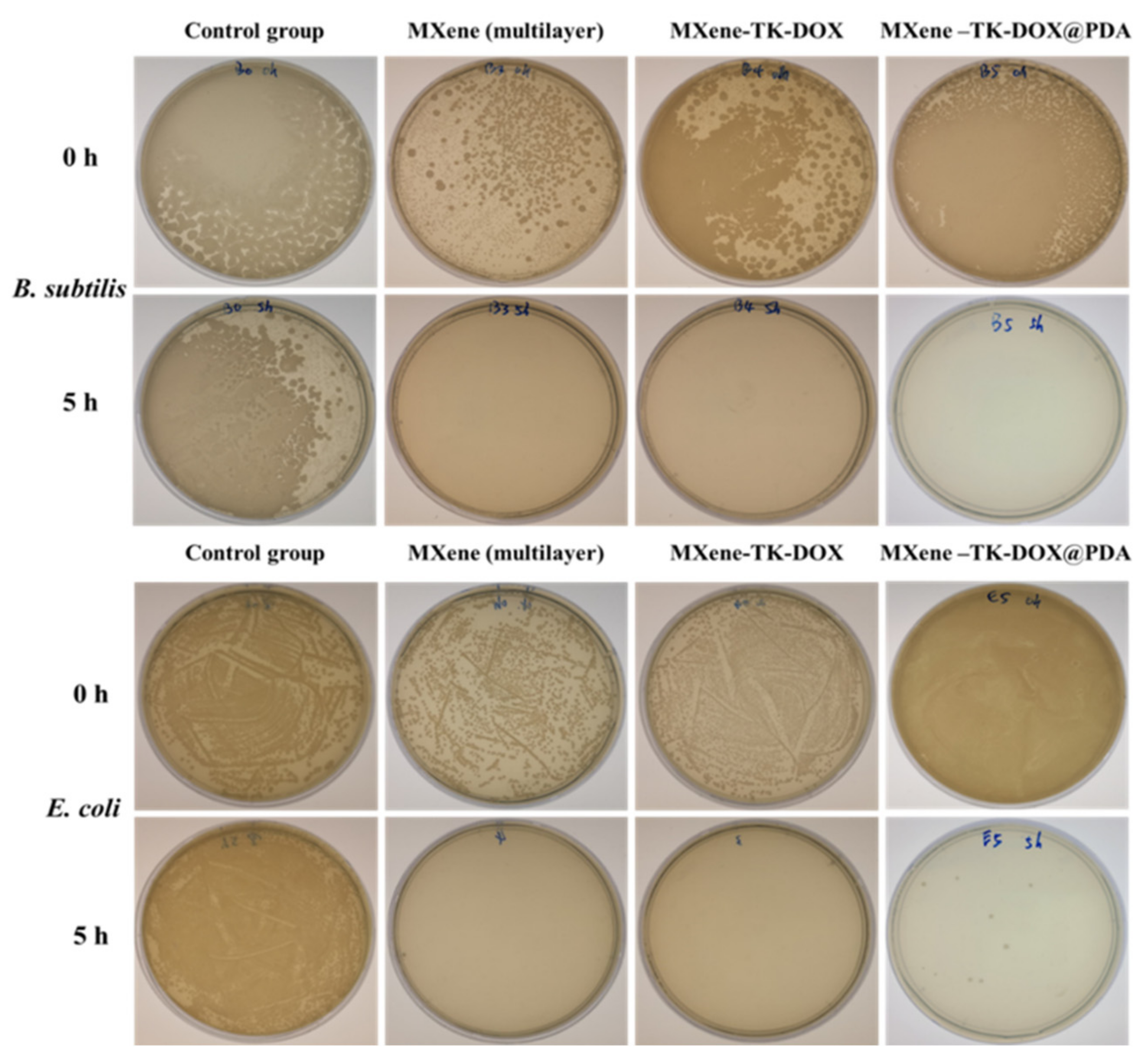 Nanomaterials 12 04392 g010 Nanomaterials 12 04392 g010