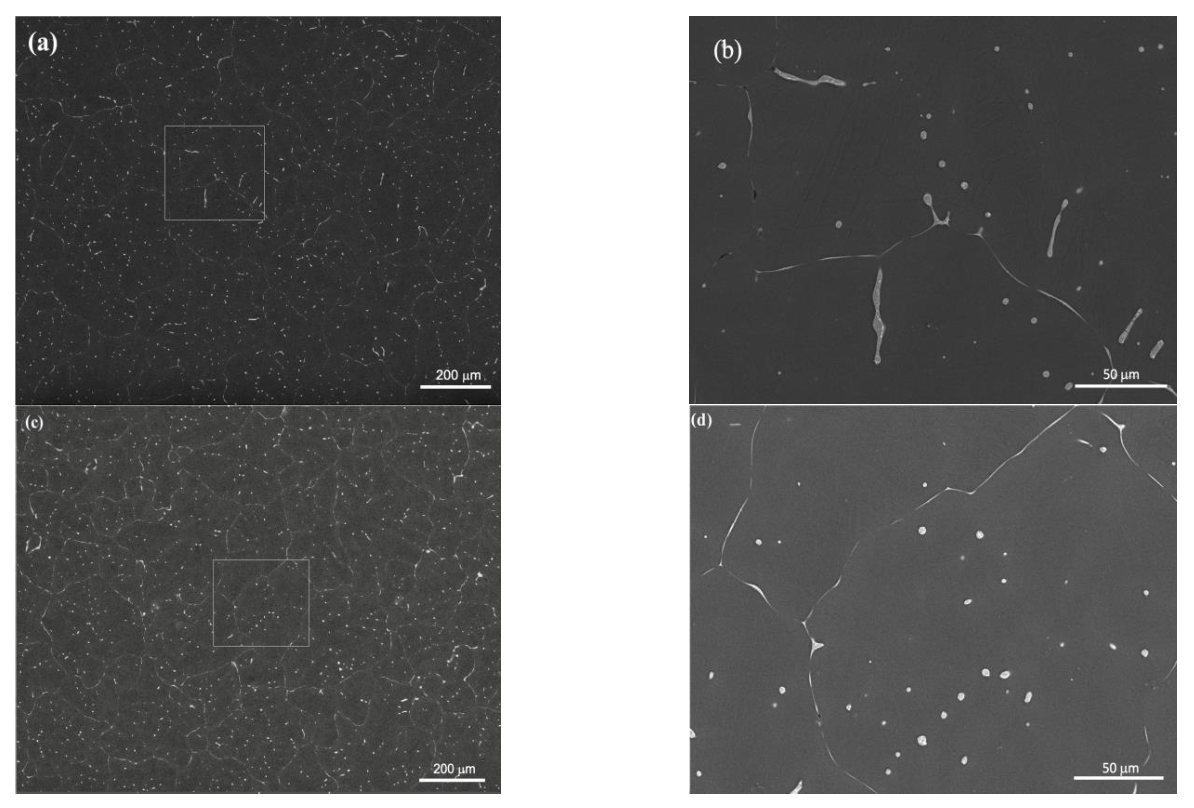 Nanomaterials 12 04399 g005a Nanomaterials 12 04399 g005a