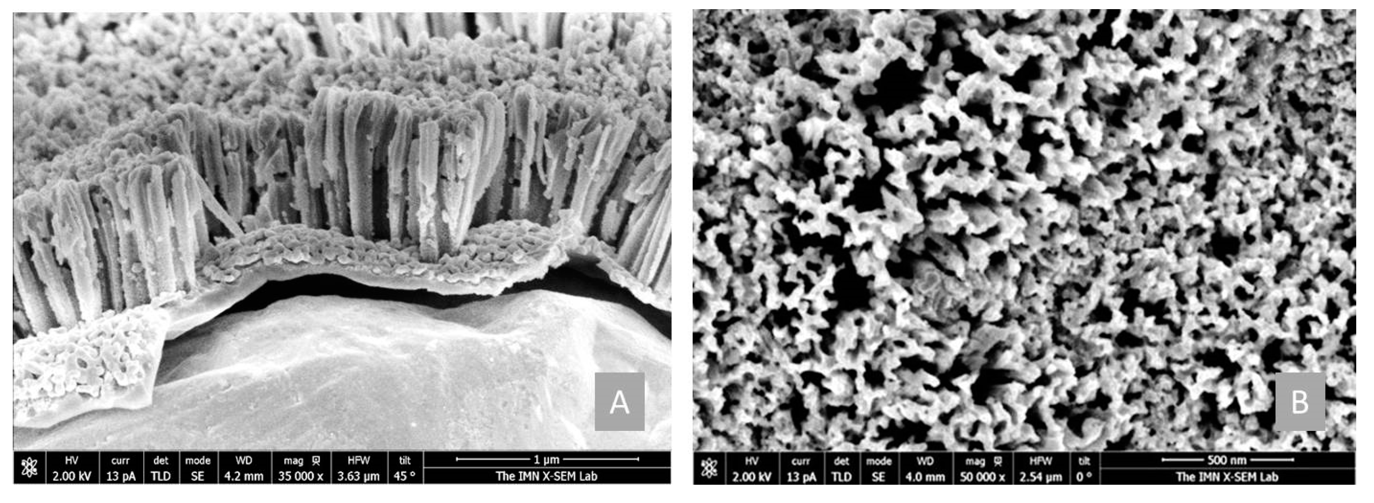 Nanomaterials 12 04400 g004 Nanomaterials 12 04400 g004