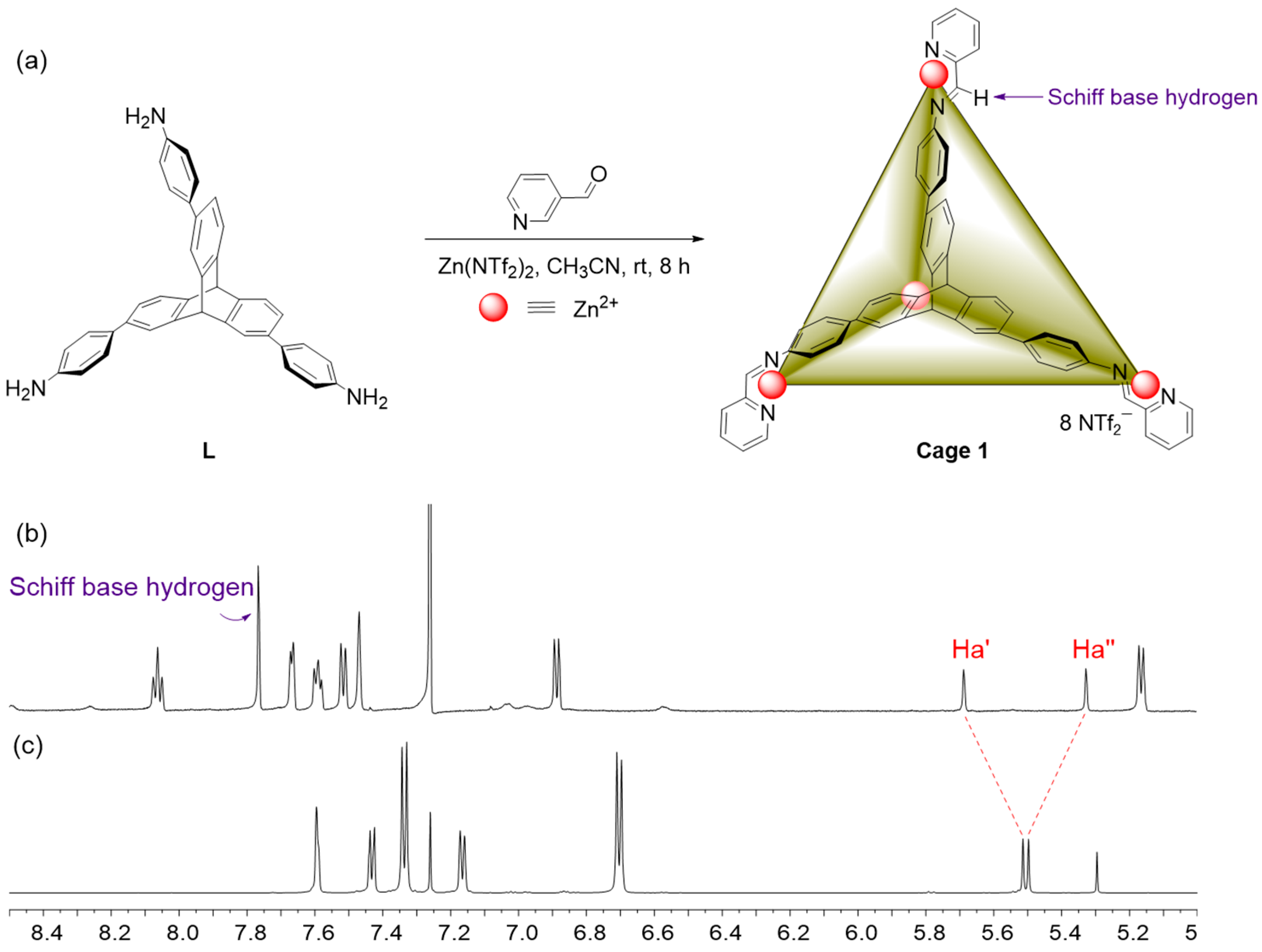Nanomaterials 12 04402 g001 Nanomaterials 12 04402 g001