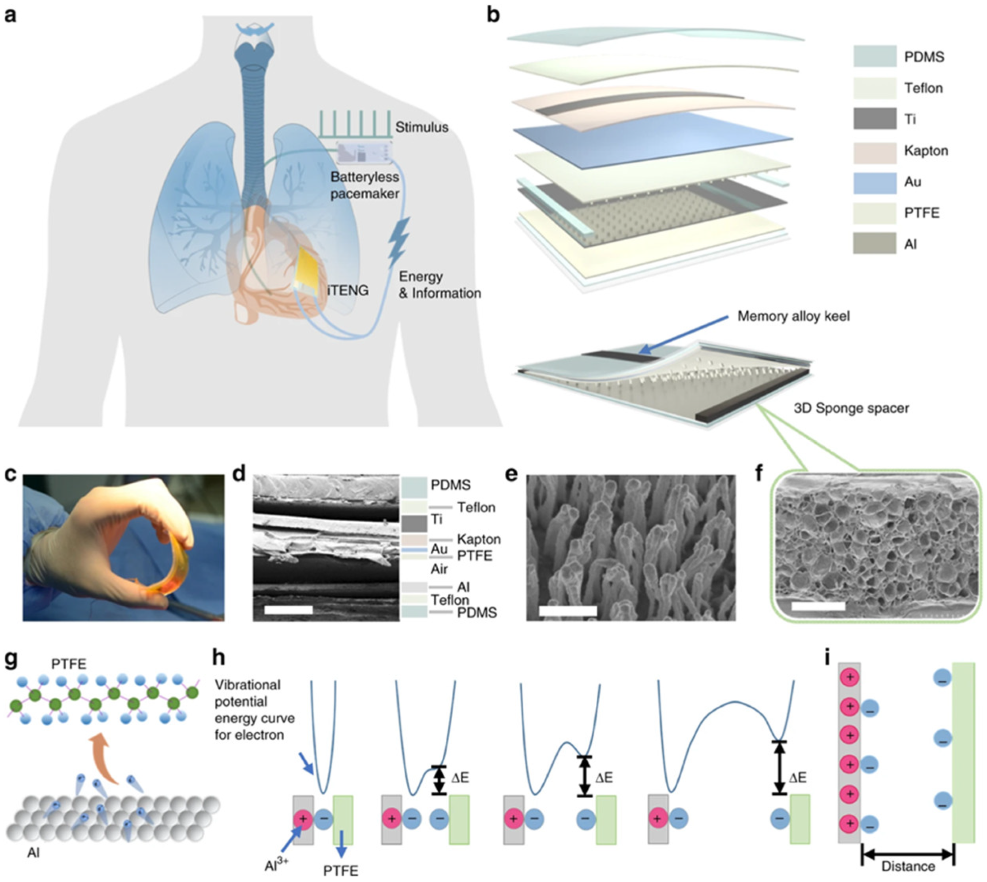 Nanomaterials 12 04403 g015 Nanomaterials 12 04403 g015