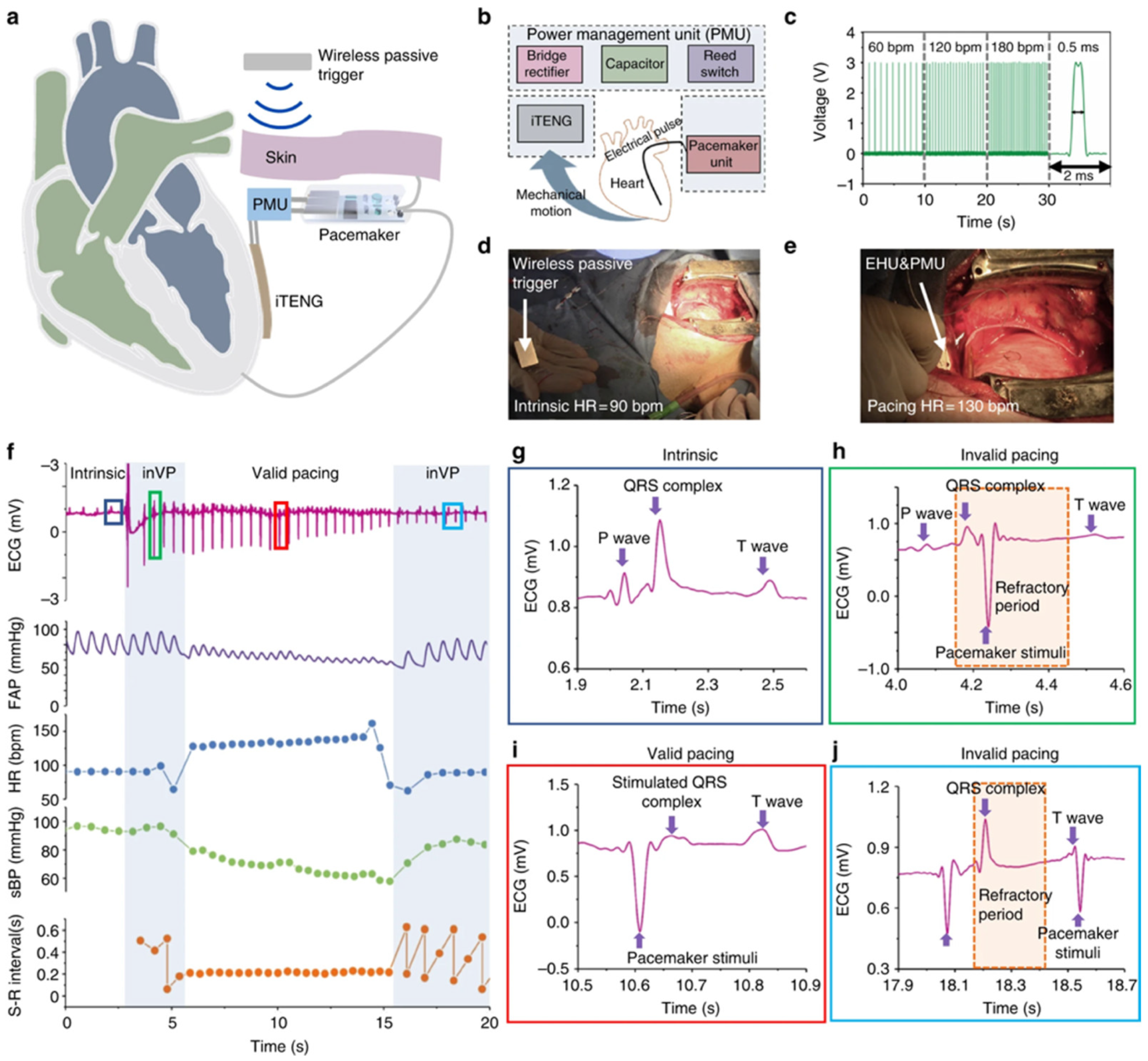 Nanomaterials 12 04403 g018 Nanomaterials 12 04403 g018