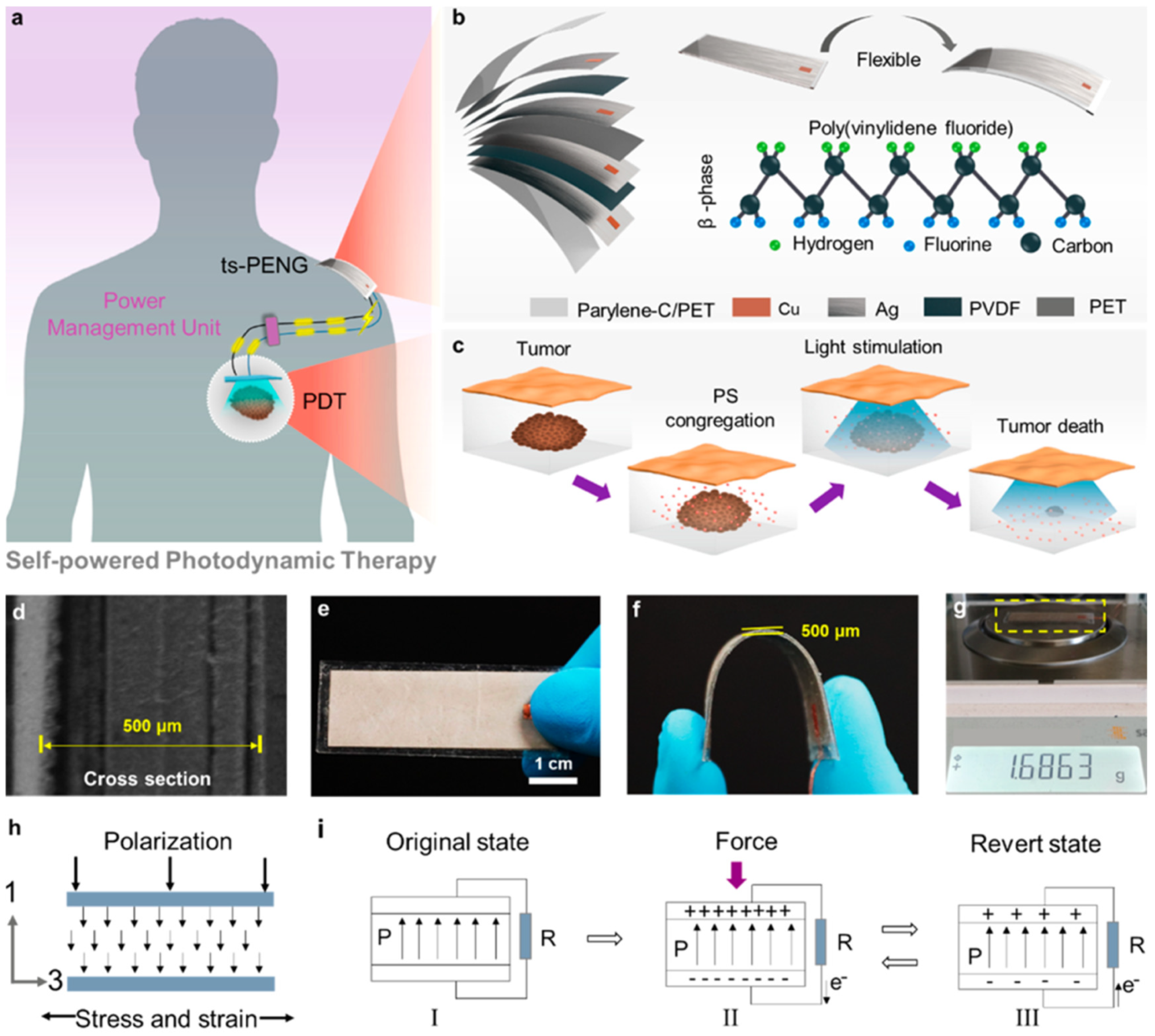 Nanomaterials 12 04403 g025 Nanomaterials 12 04403 g025