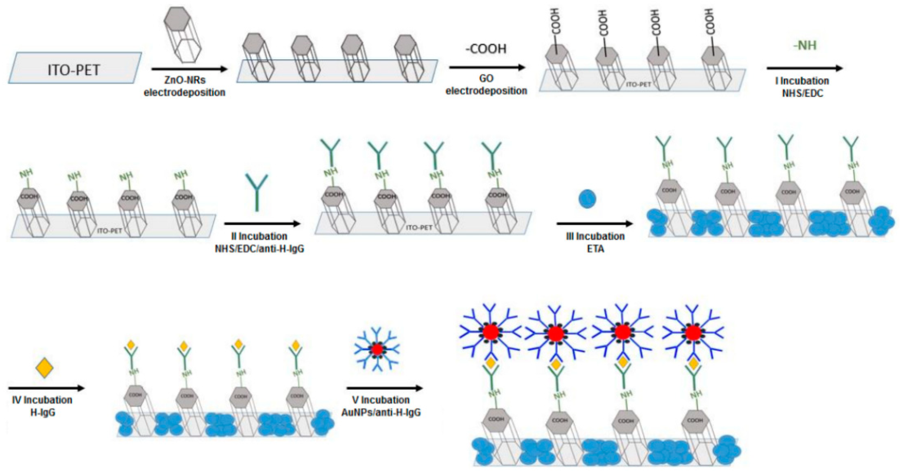 Nanomaterials 12 04413 g004 Nanomaterials 12 04413 g004
