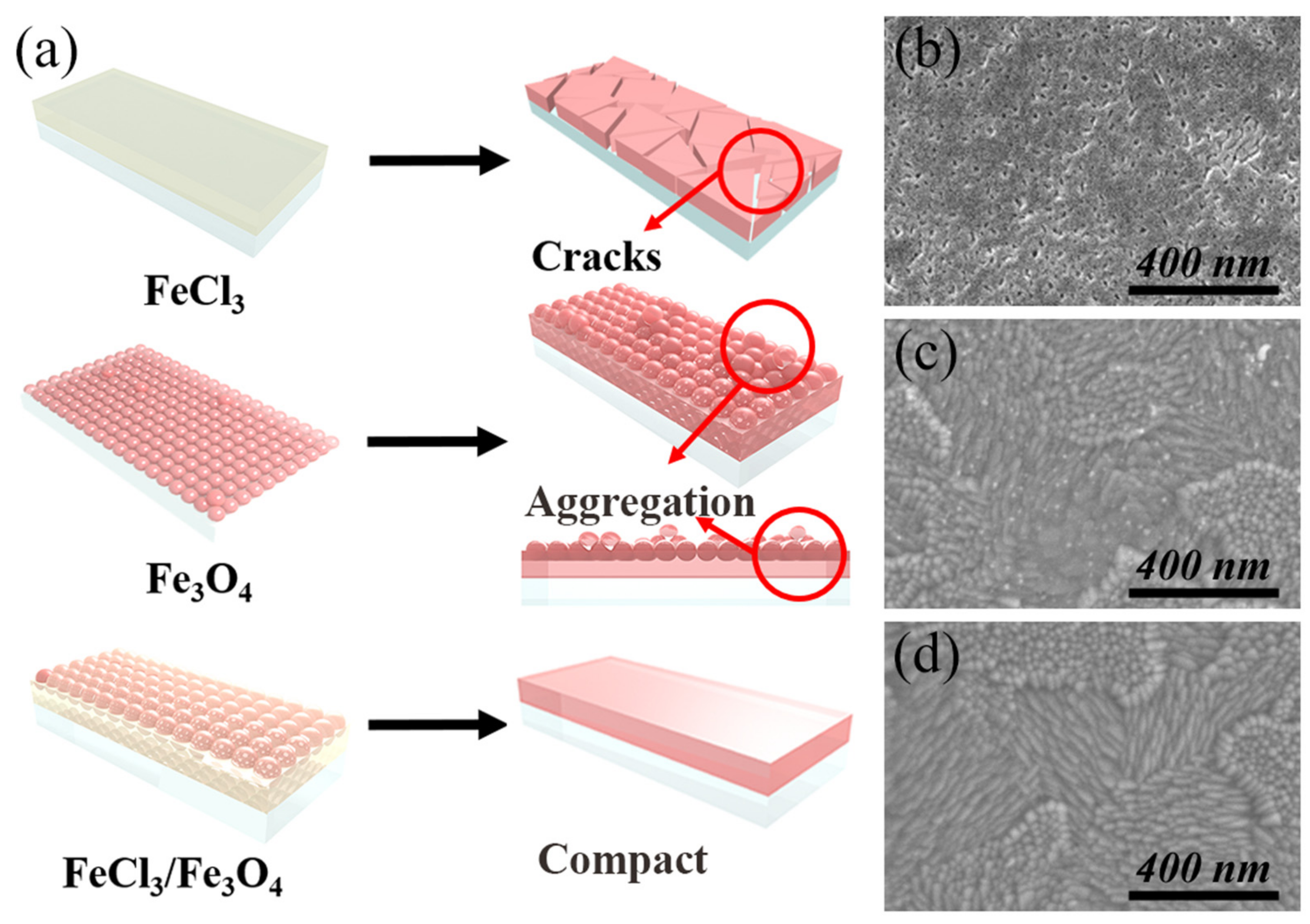 Nanomaterials 12 04415 g001