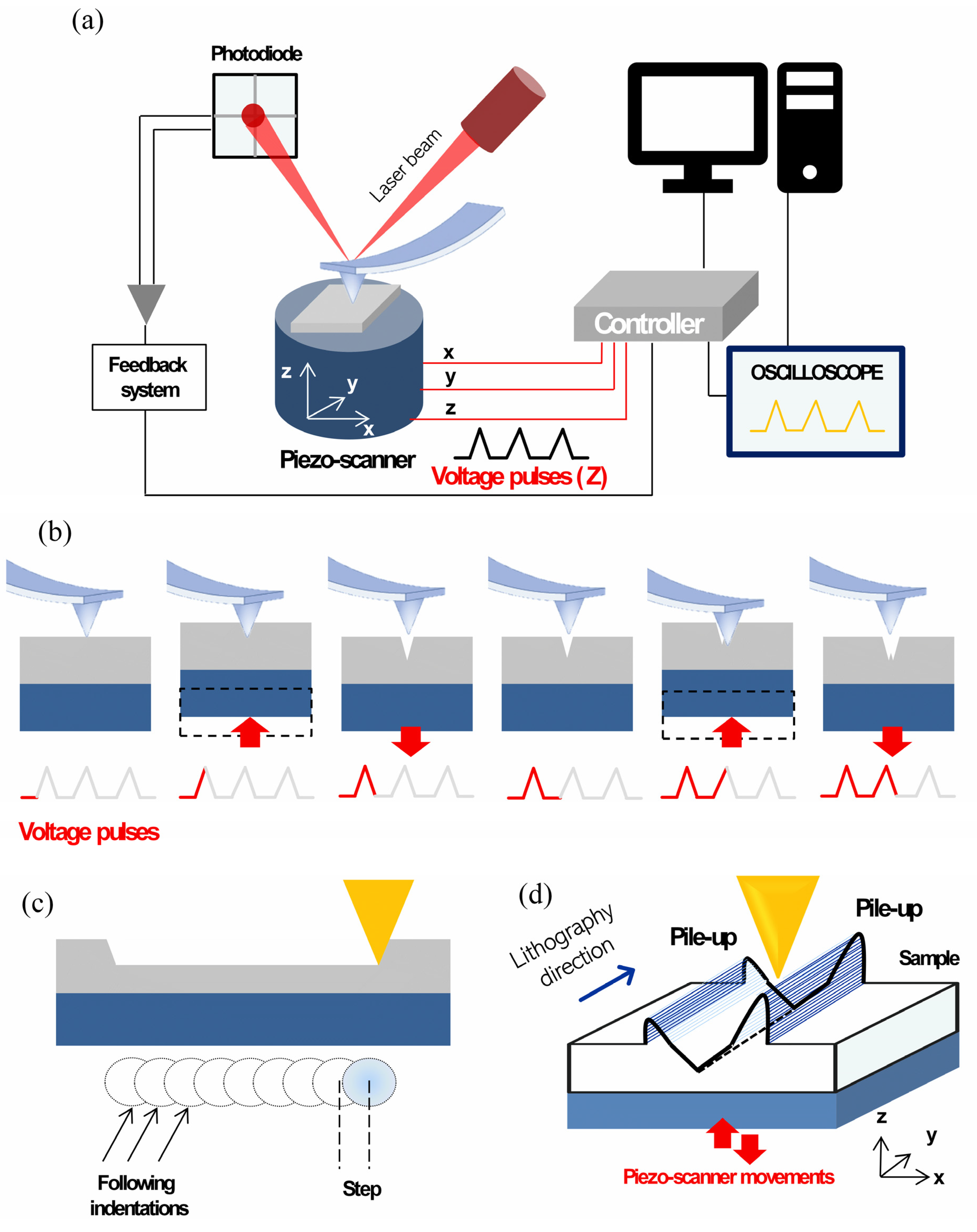 Nanomaterials 12 04421 g001