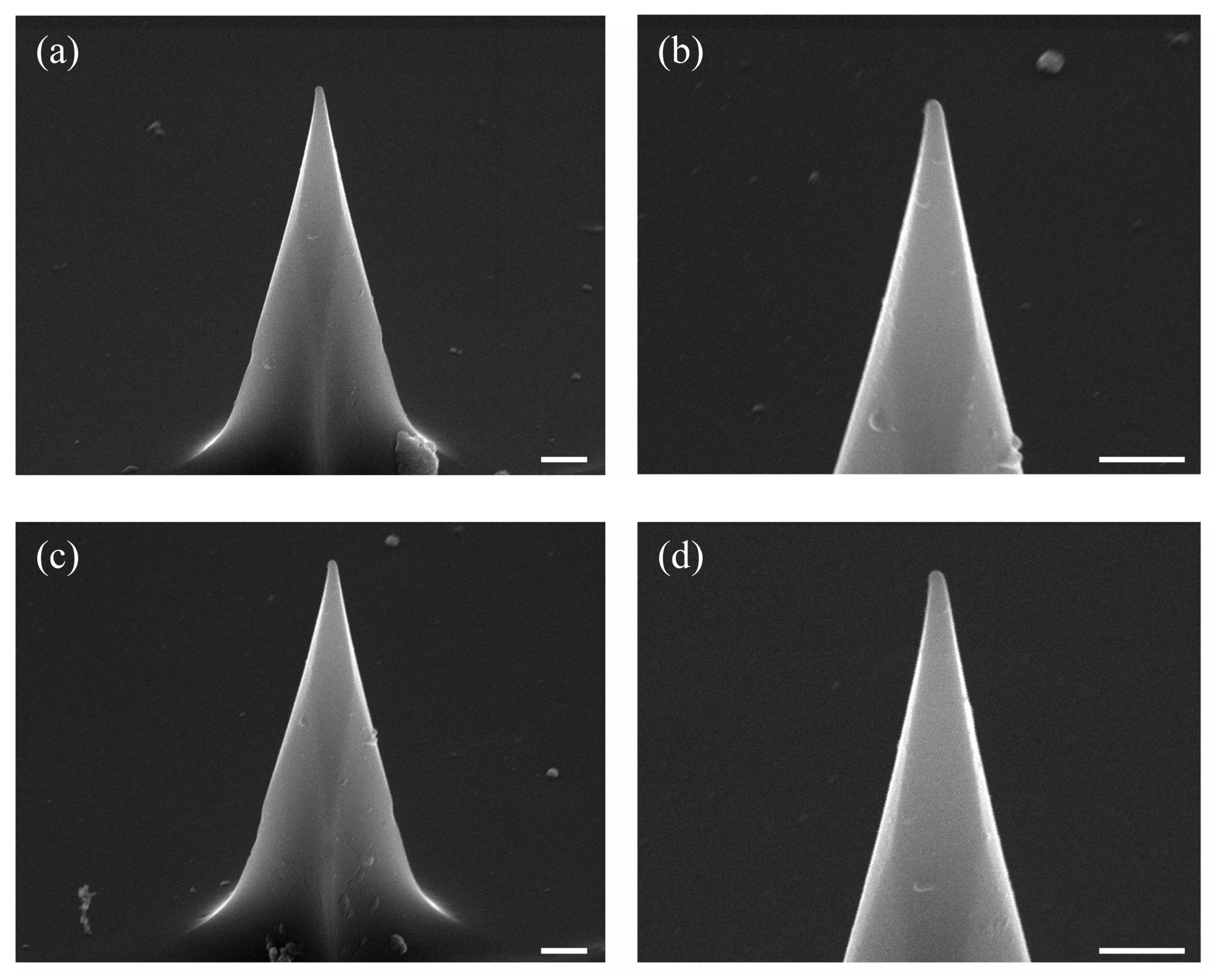 Nanomaterials 12 04421 g006