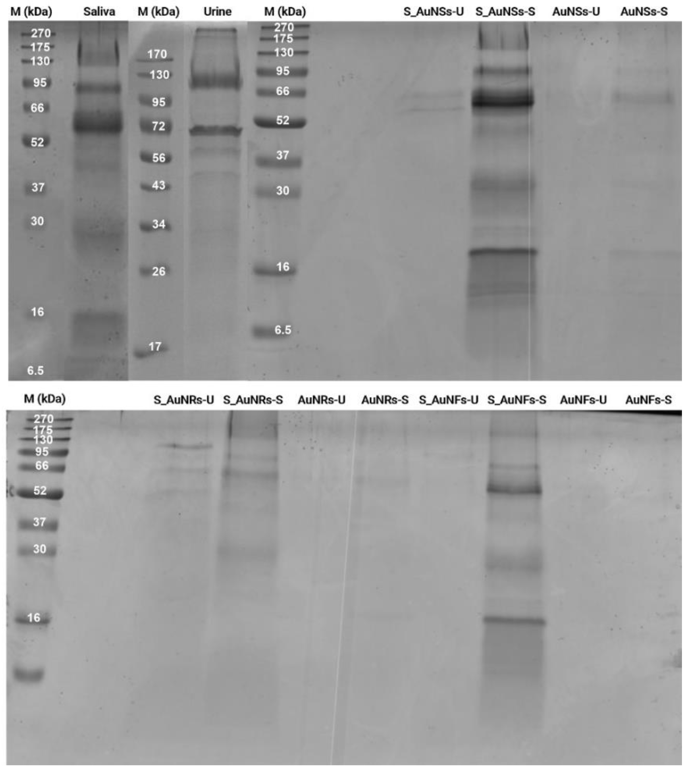 Nanomaterials 12 04434 g006