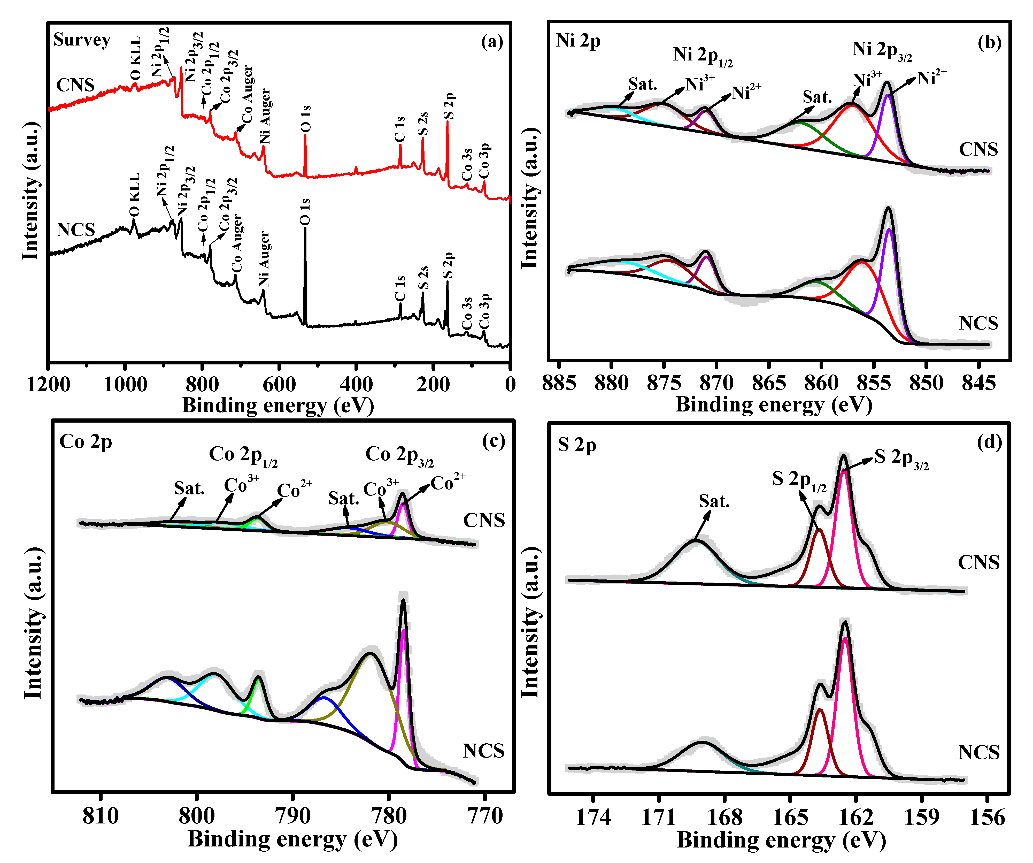 Nanomaterials 12 04435 g002