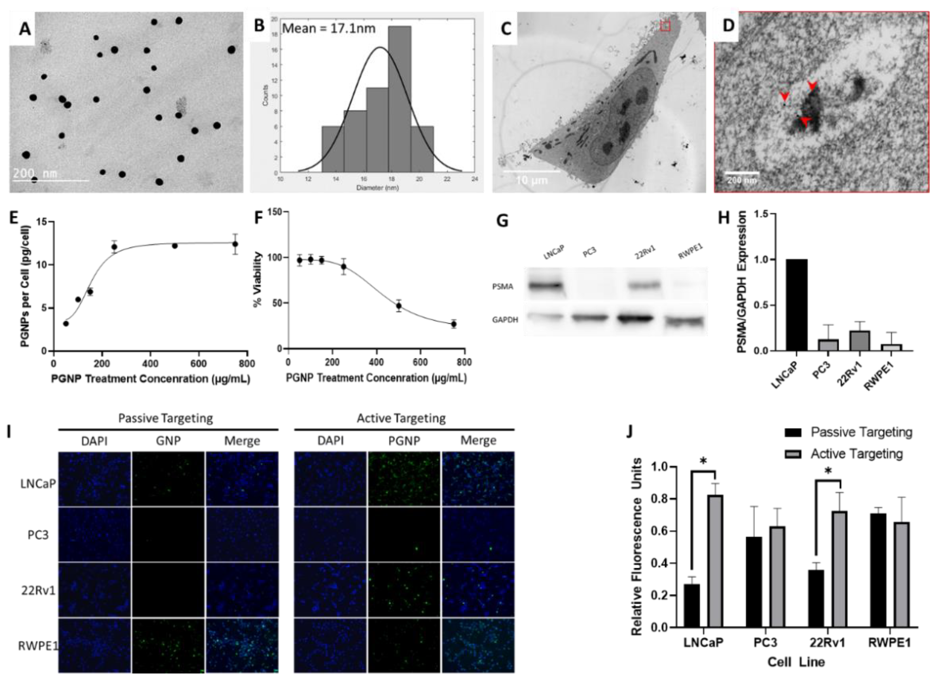 Nanomaterials 12 04440 g001