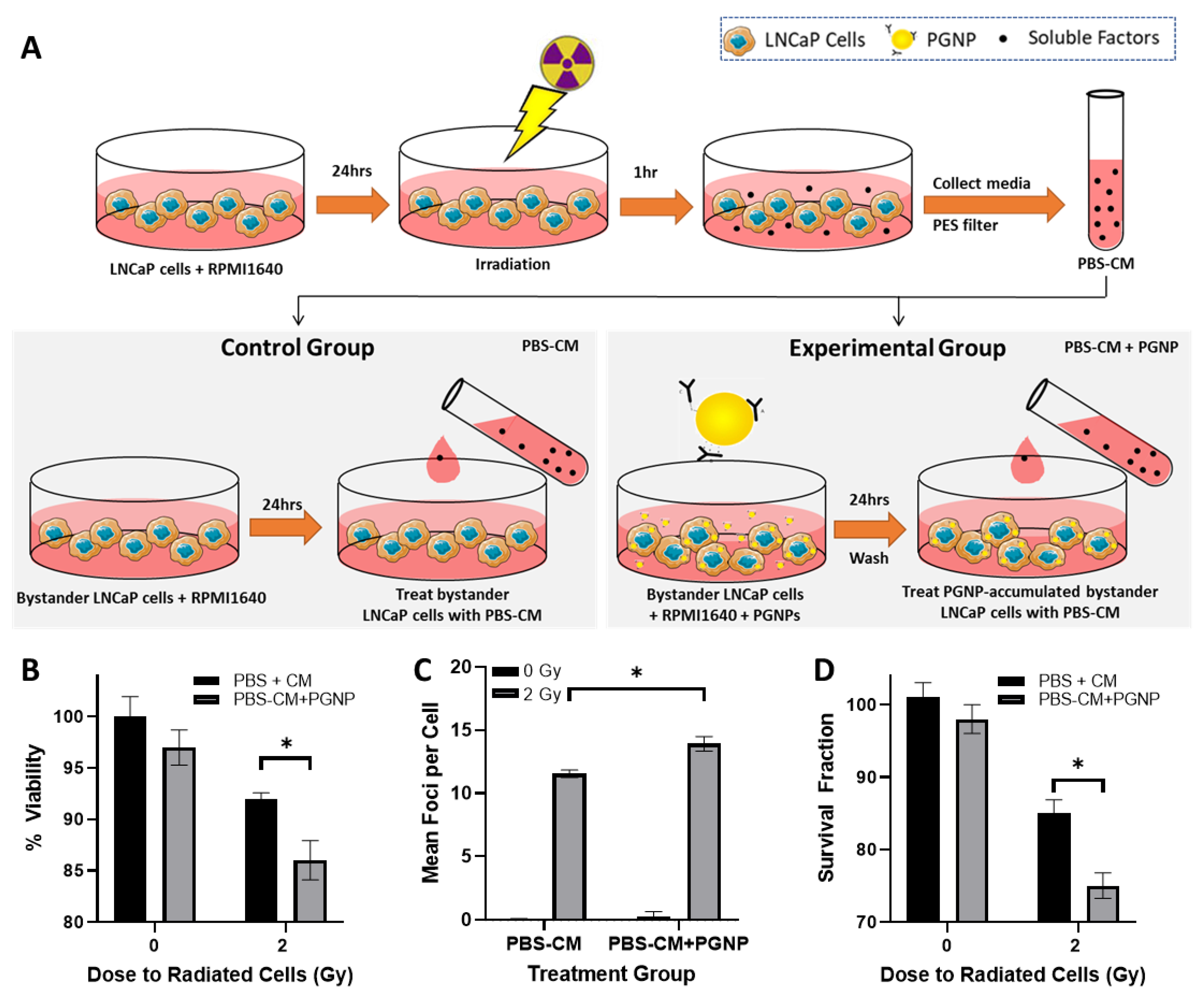 Nanomaterials 12 04440 g004
