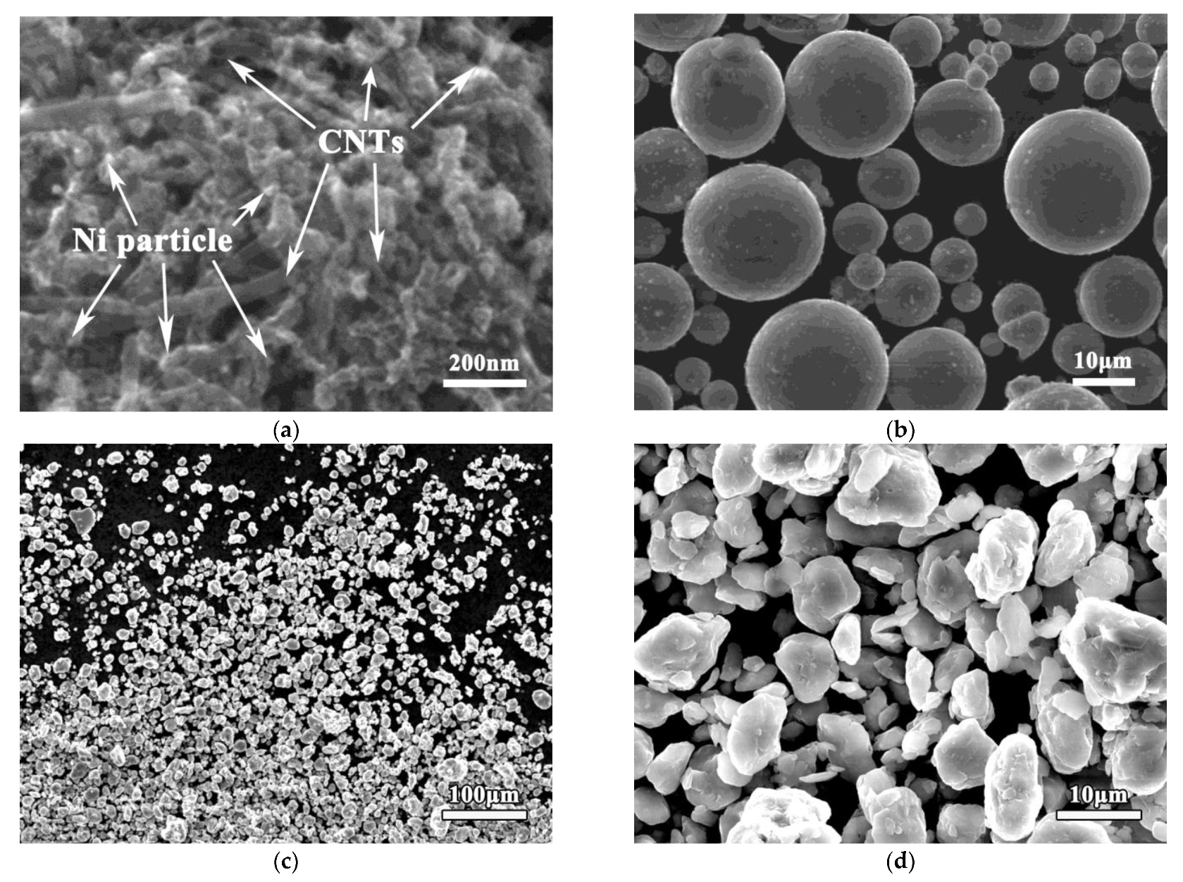 Nanomaterials 12 04446 g002