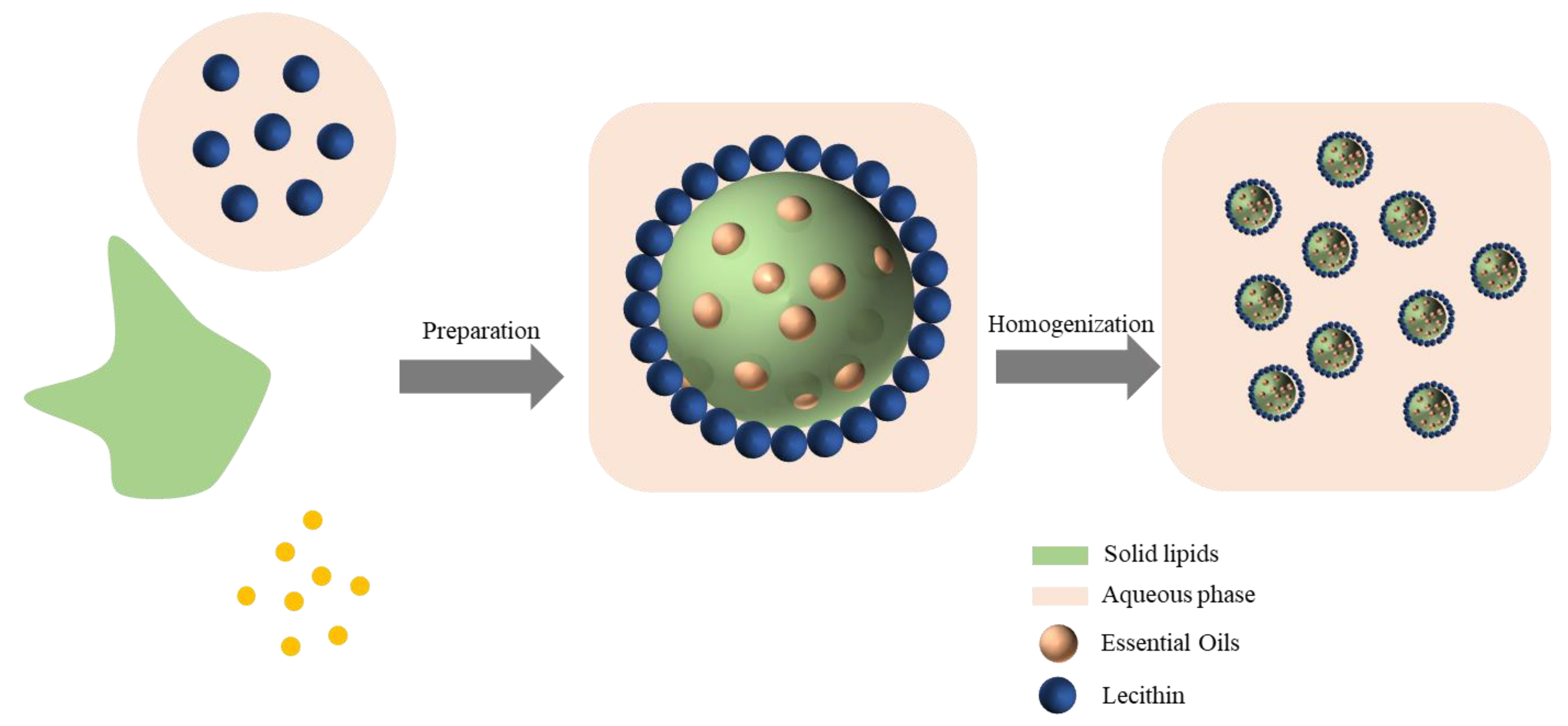 Nanomaterials 12 04460 g002