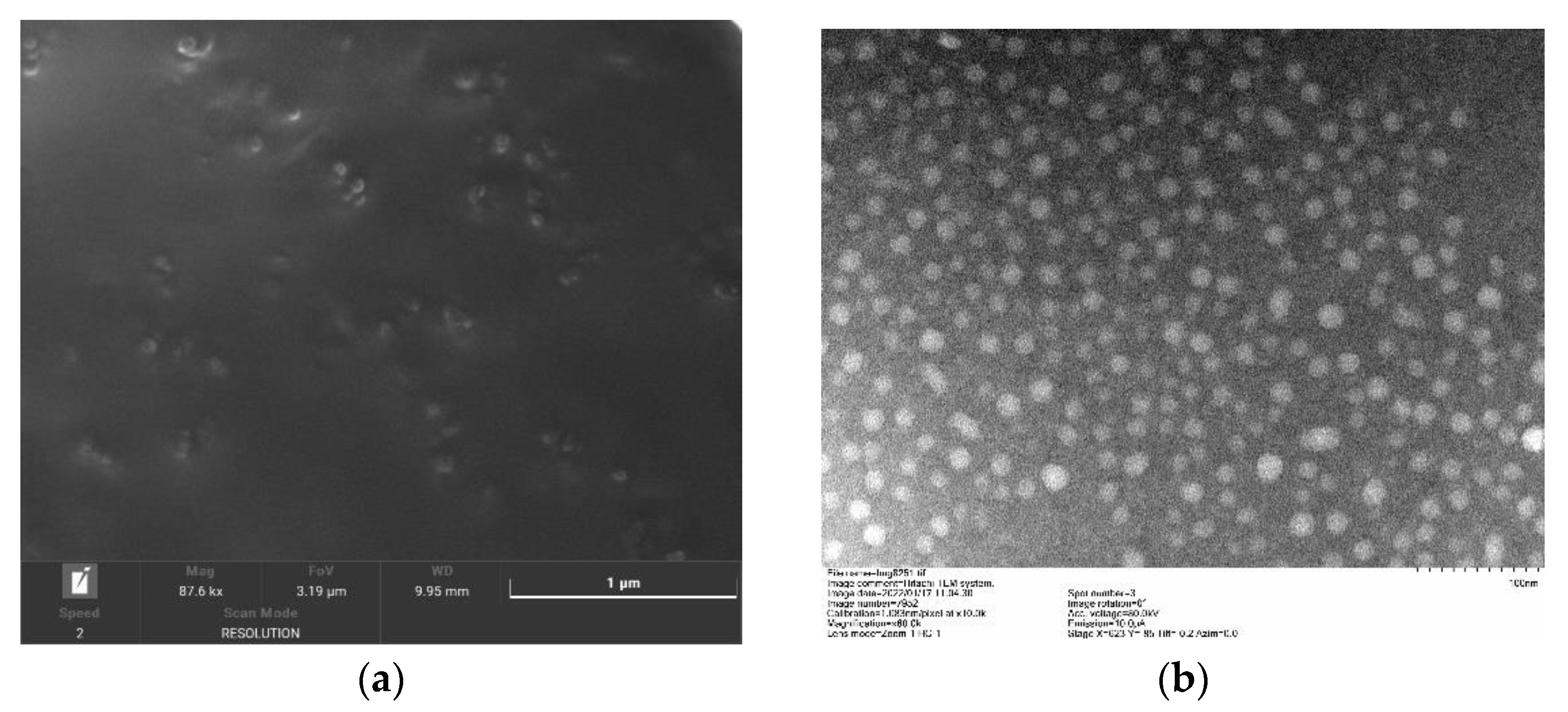Nanomaterials 12 04460 g009