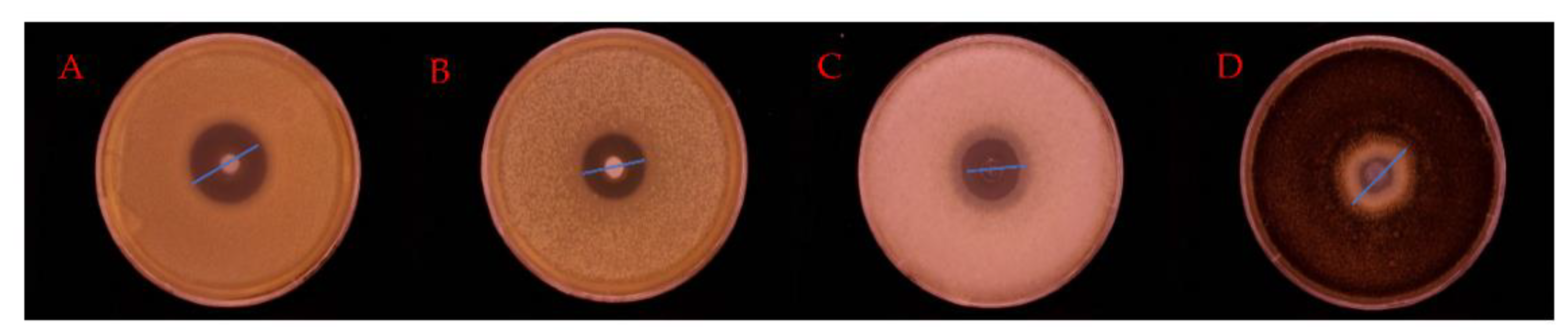 Nanomaterials 12 04460 g013