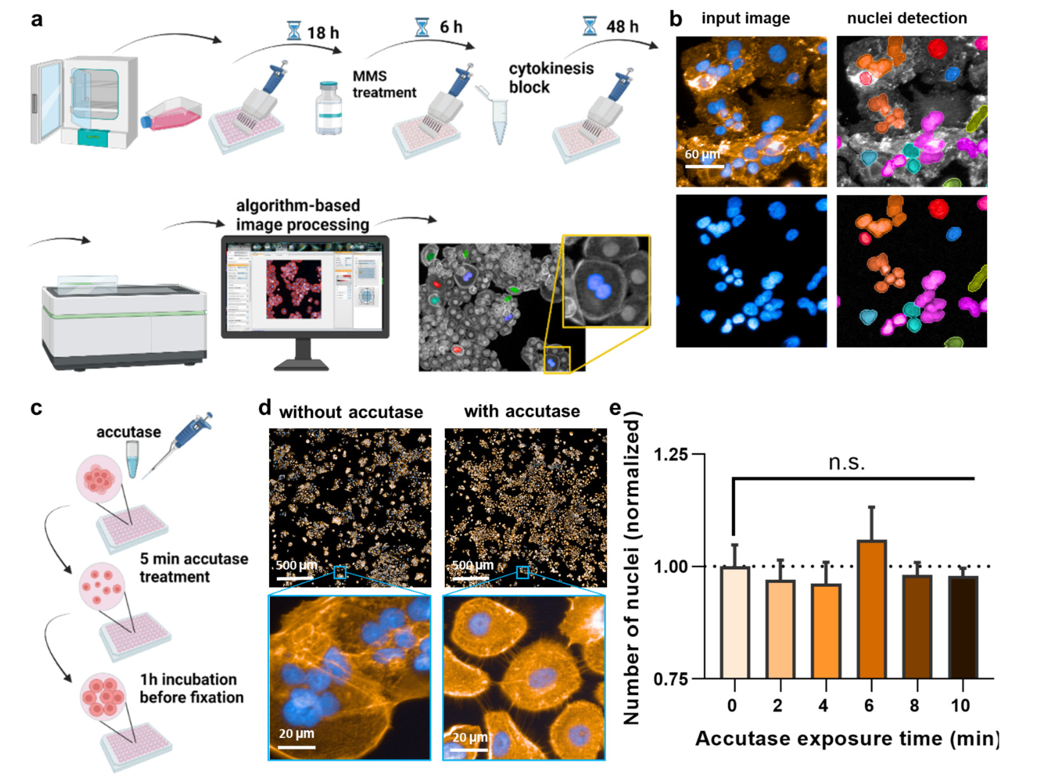 Nanomaterials 12 04463 g001