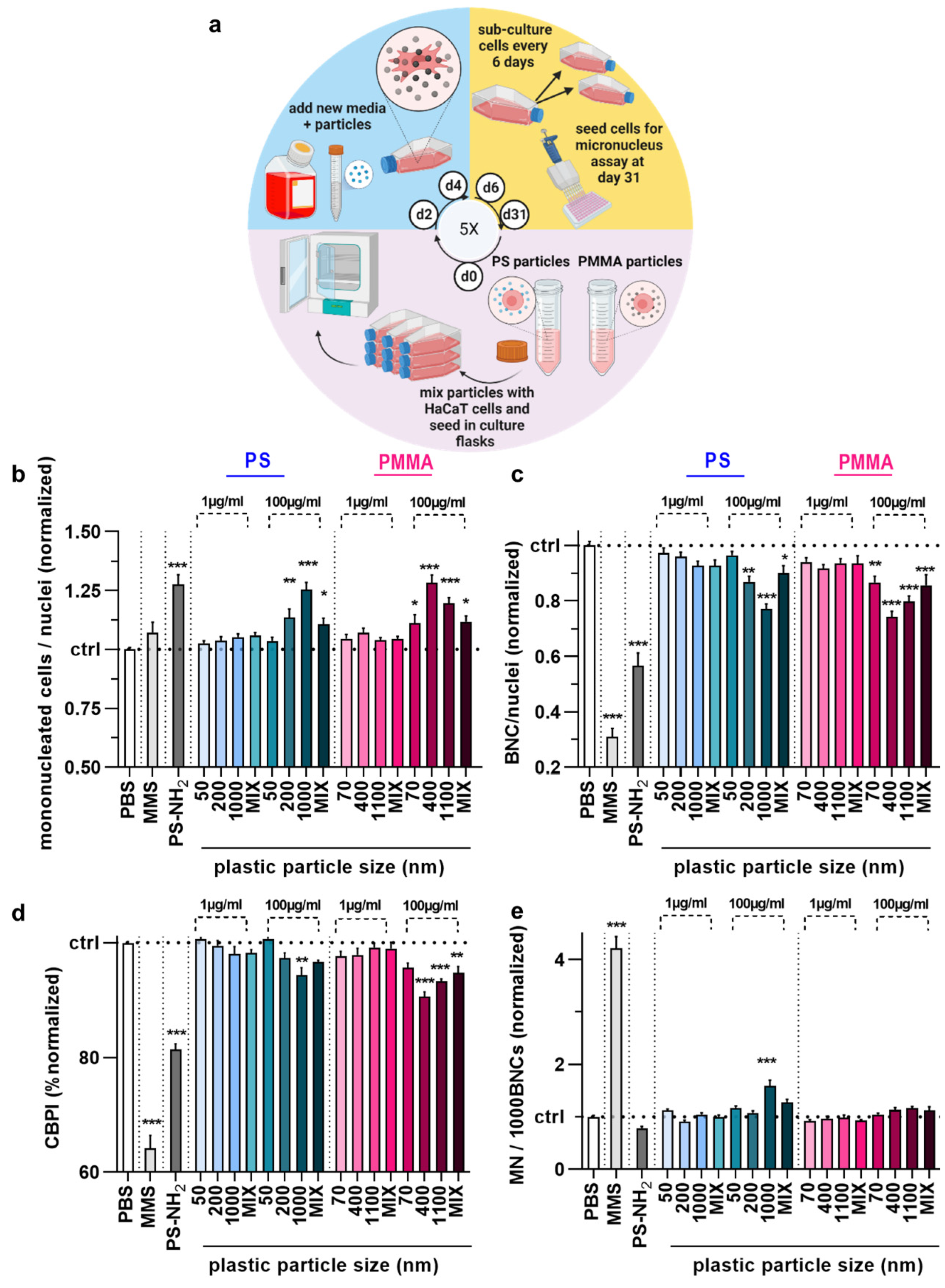 Nanomaterials 12 04463 g005