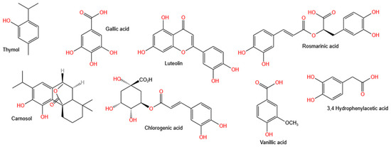 Antibacterial and Photodegradation of Organic Dyes Using