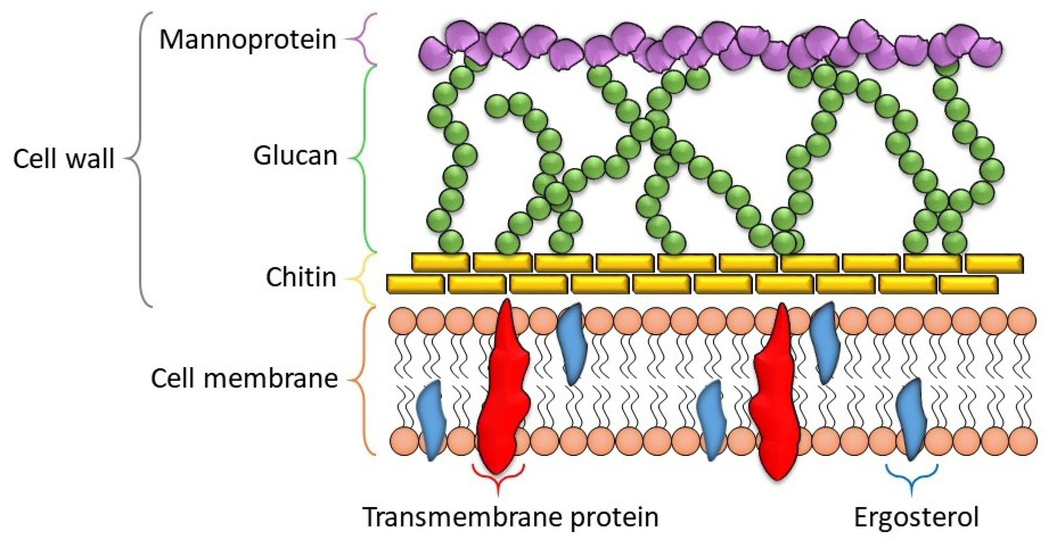 Nanomaterials, Free Full-Text