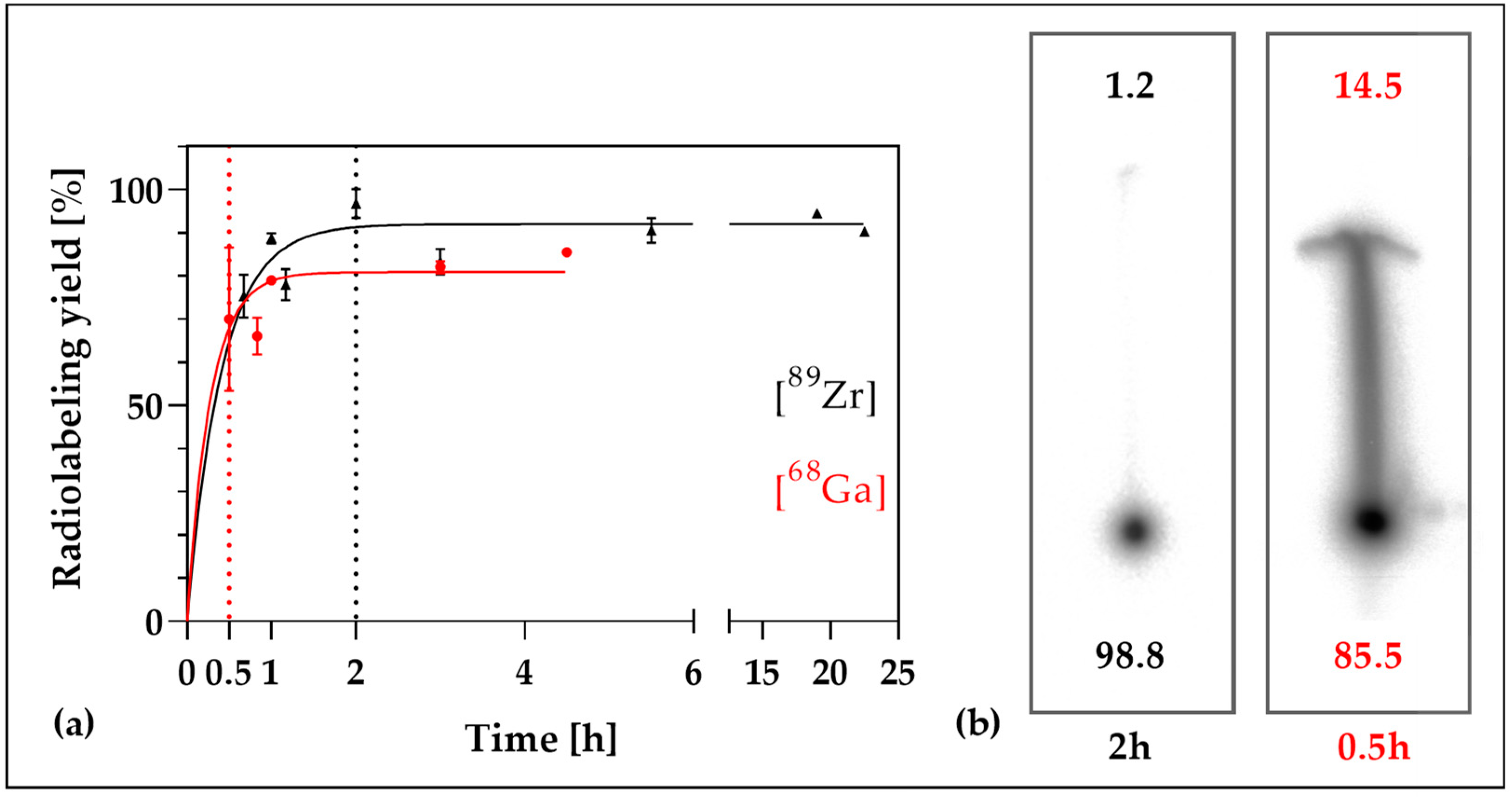 Nanomaterials 12 04471 g001 Nanomaterials 12 04471 g001