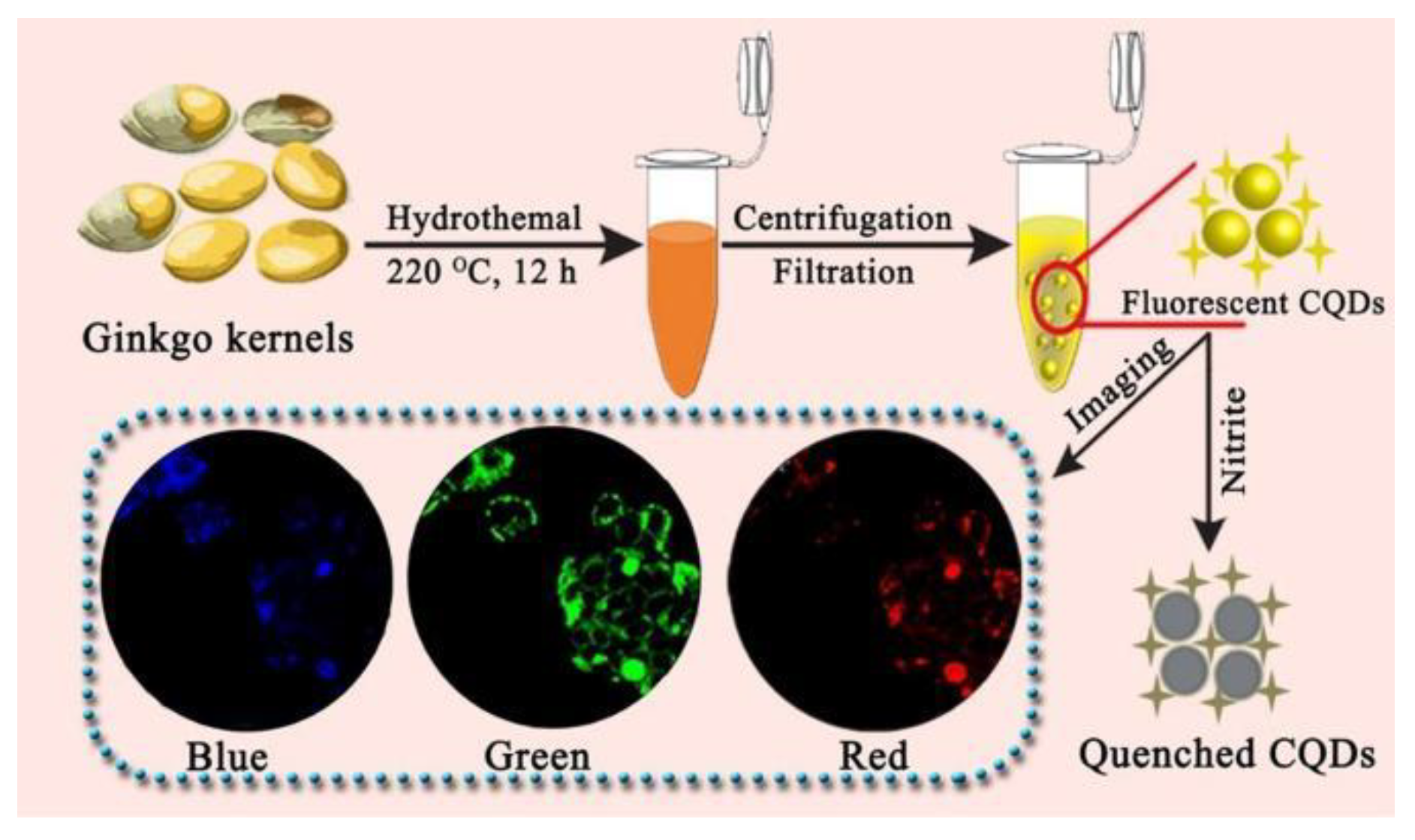 Nanomaterials 12 04473 g004
