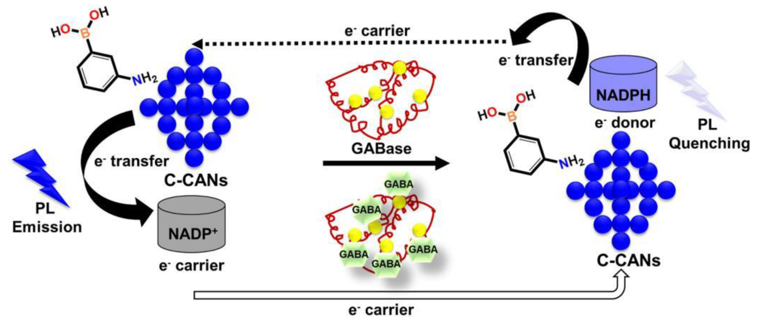 Nanomaterials 12 04473 g012