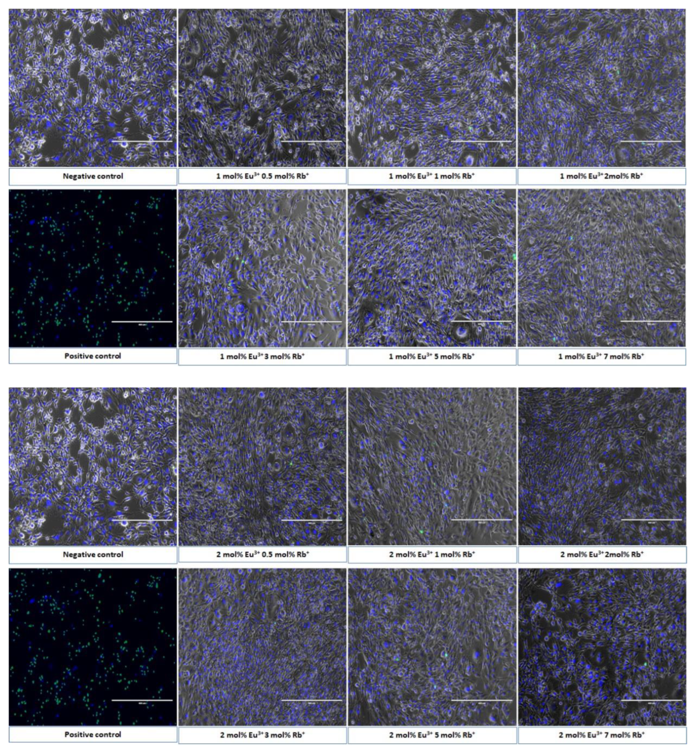 Nanomaterials 12 04475 g010 Nanomaterials 12 04475 g010
