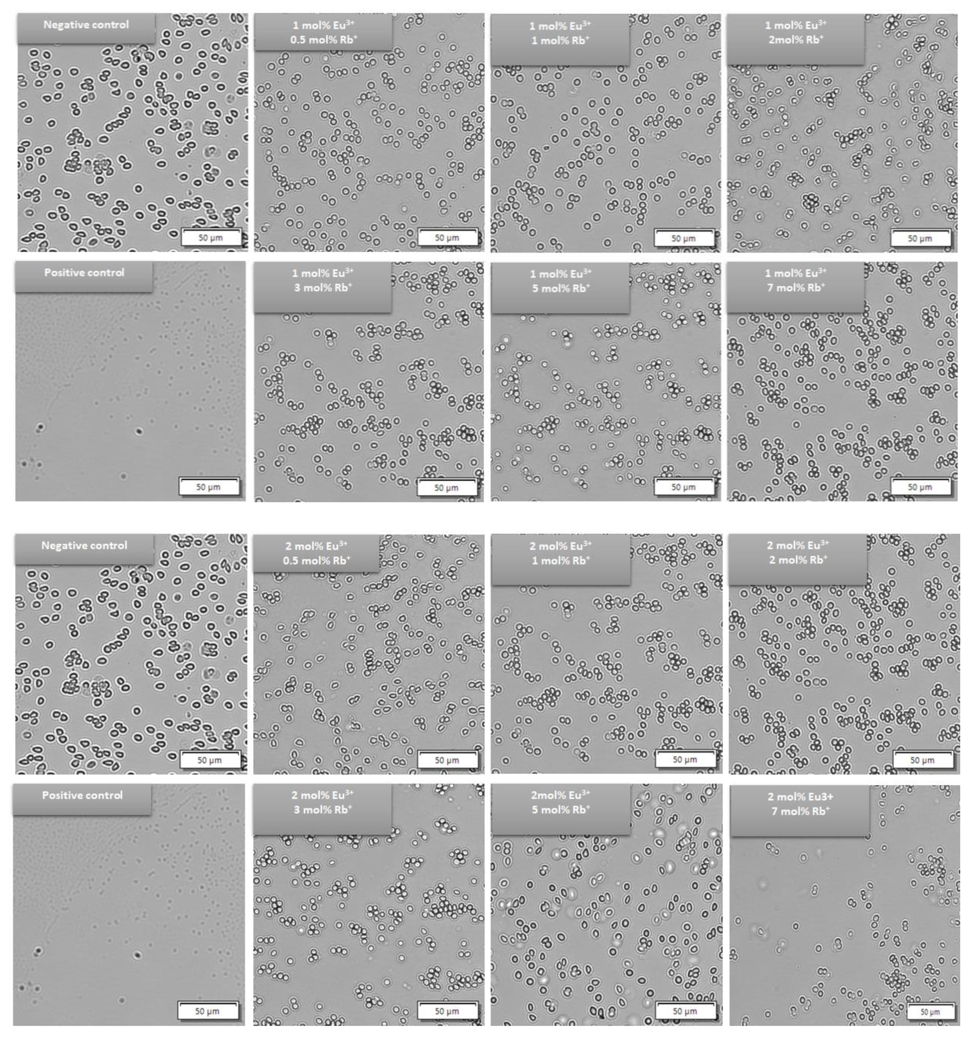 Nanomaterials 12 04475 g012 Nanomaterials 12 04475 g012