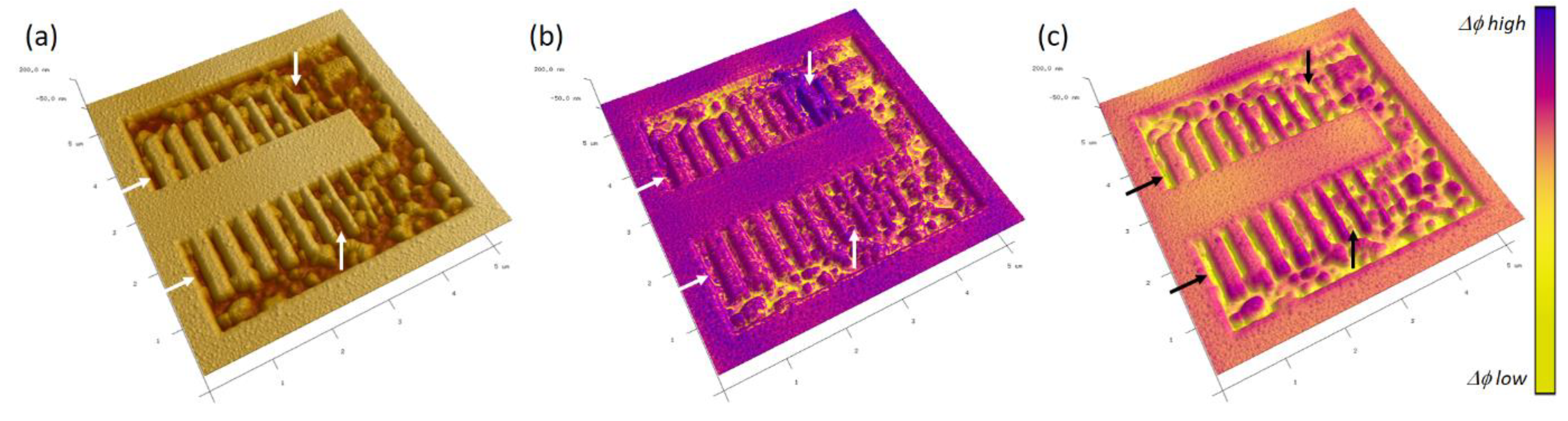 Nanomaterials 12 04477 g011