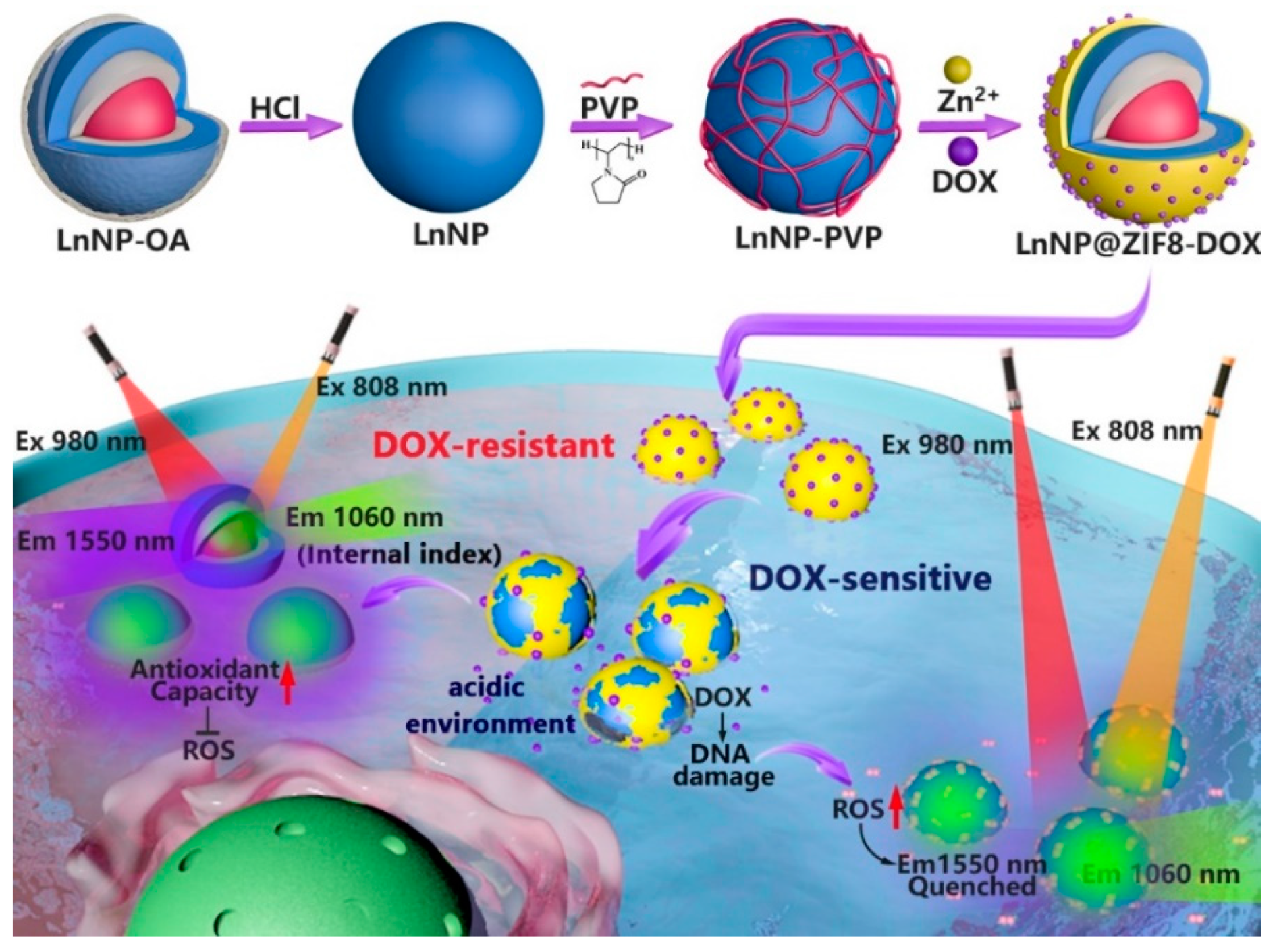 Nanomaterials 12 04478 g001