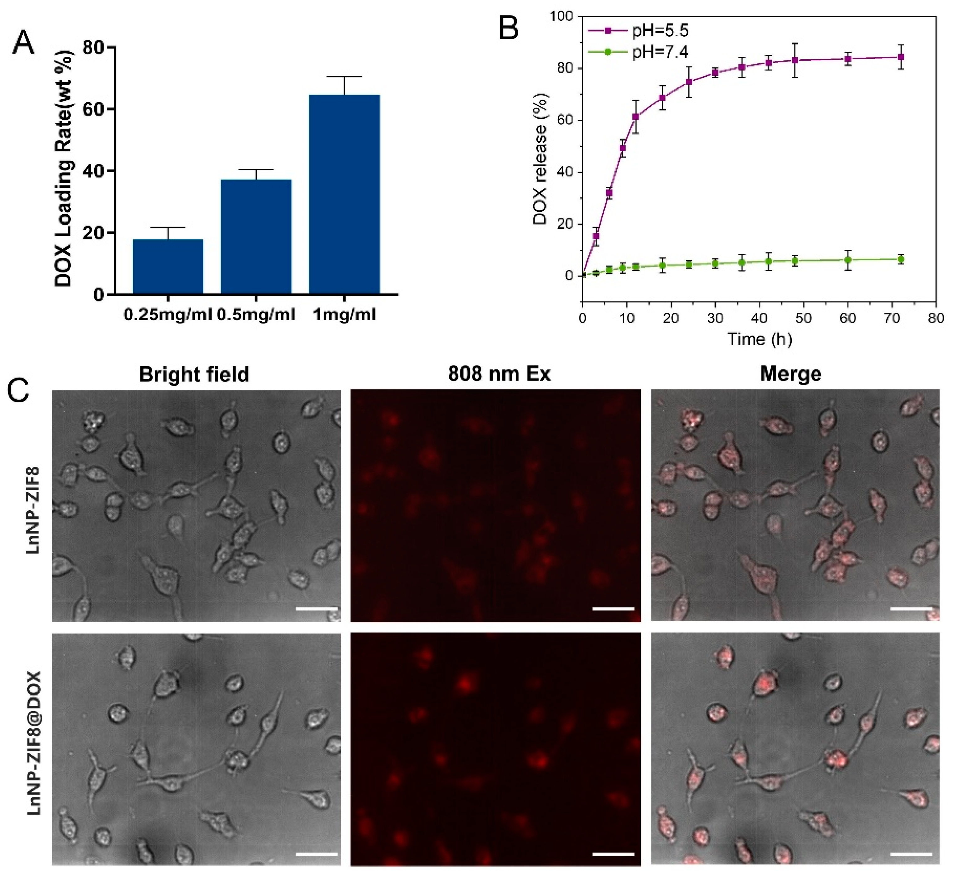 Nanomaterials 12 04478 g004