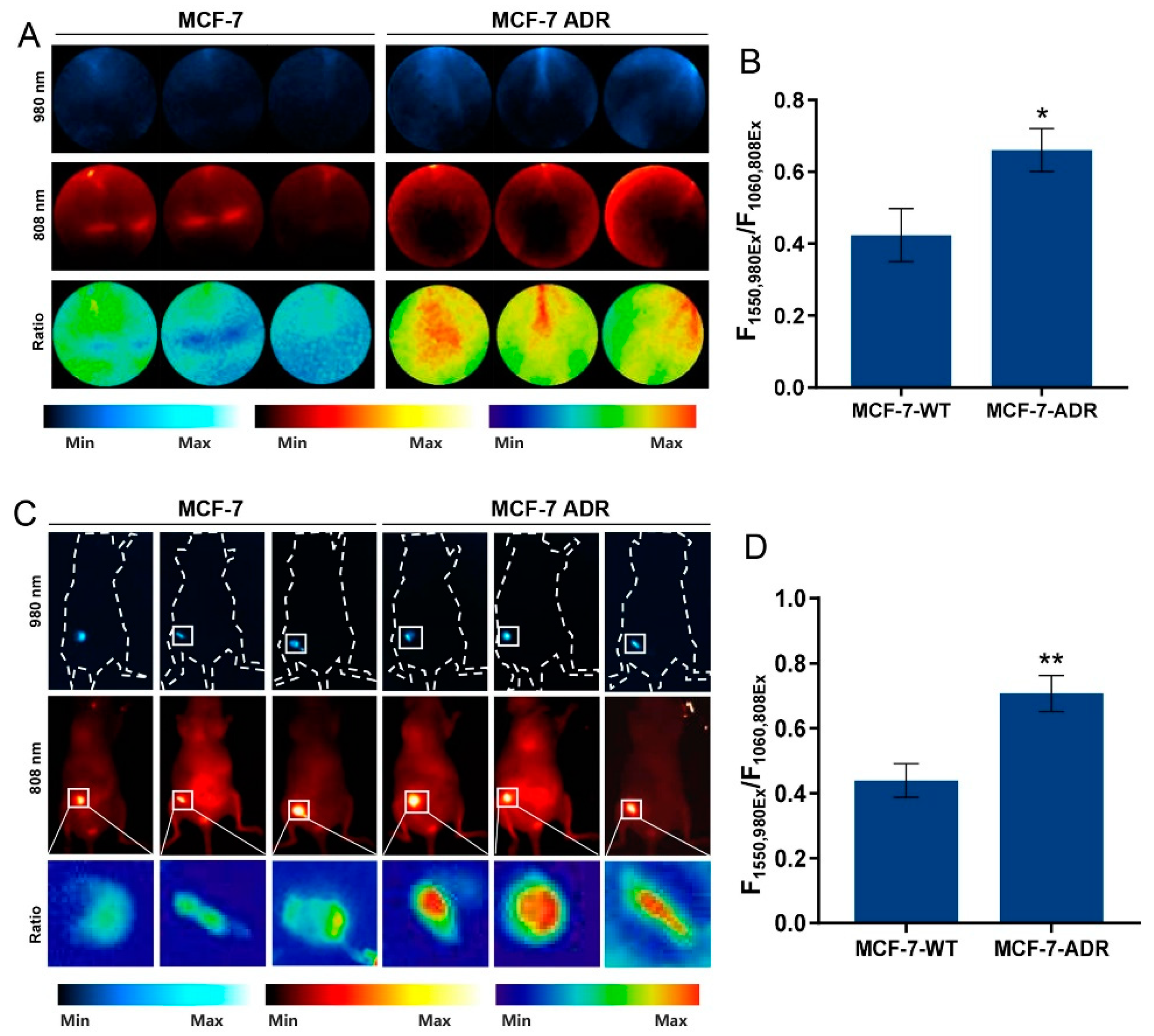 Nanomaterials 12 04478 g006