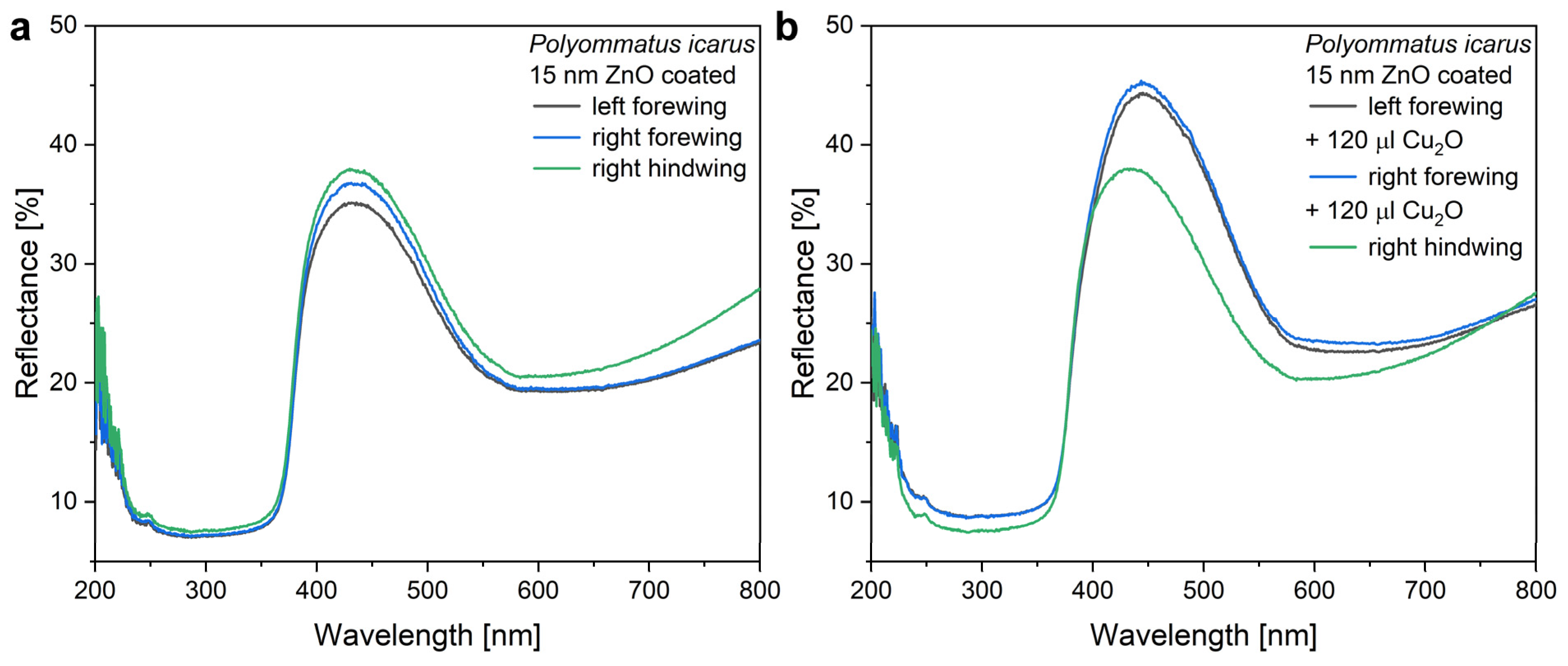 Nanomaterials 12 04490 g007