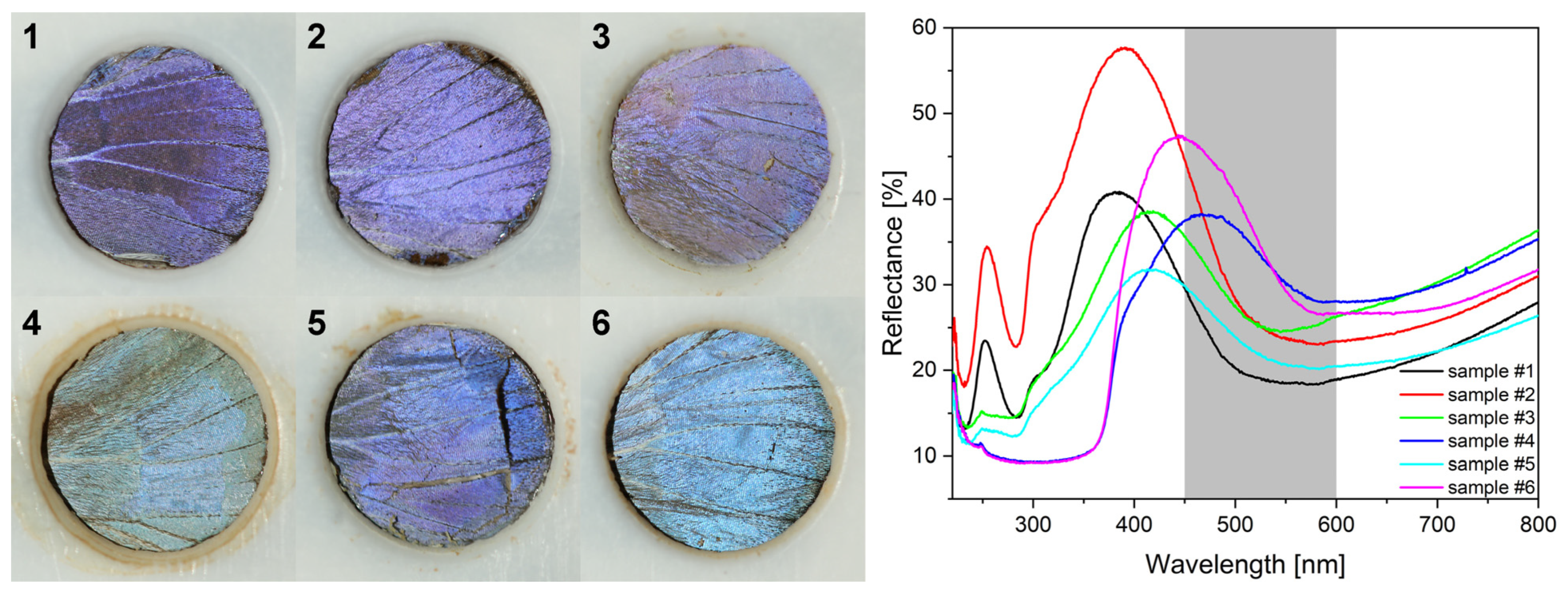 Nanomaterials 12 04490 g009