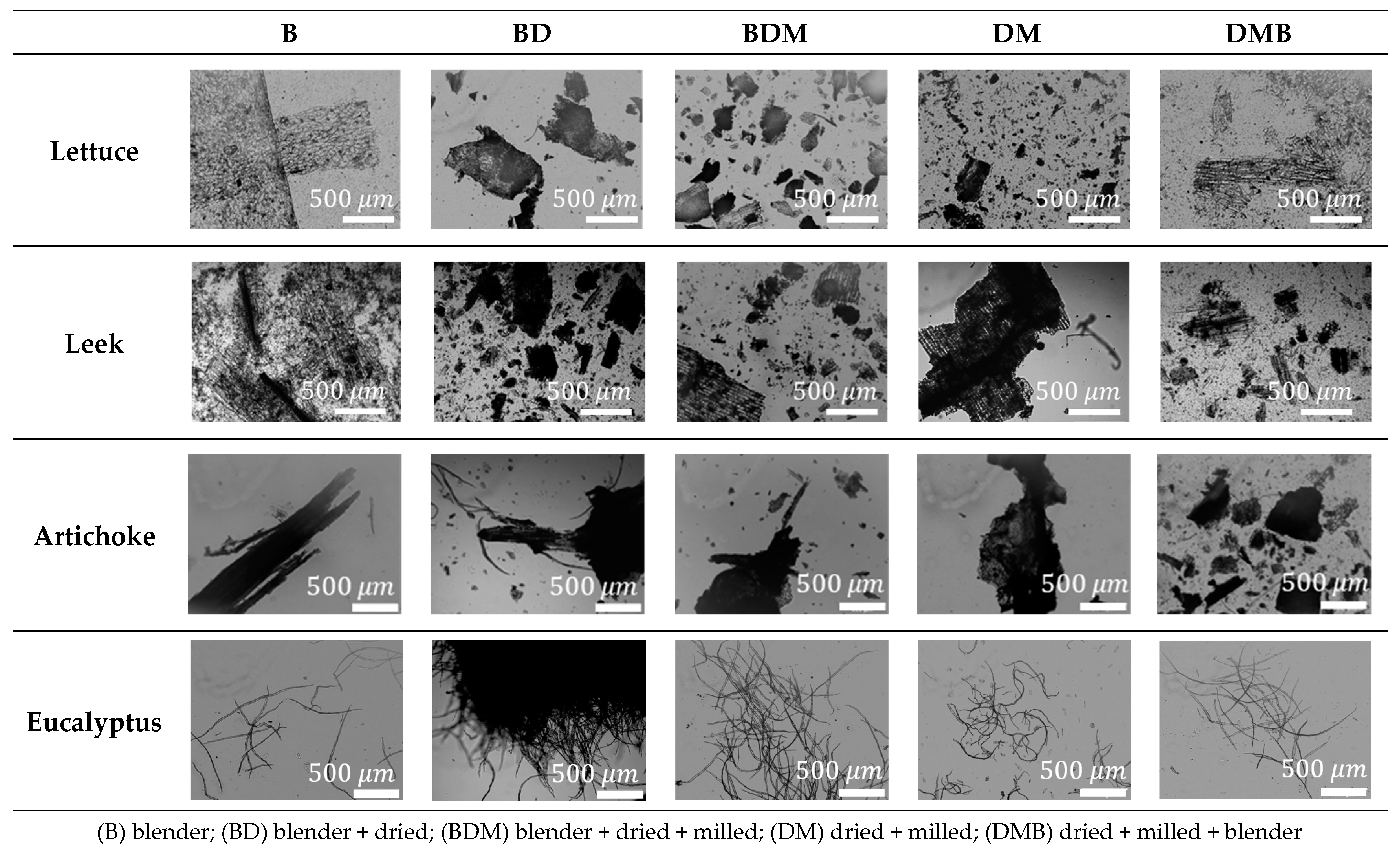 Nanomaterials 12 04499 g002
