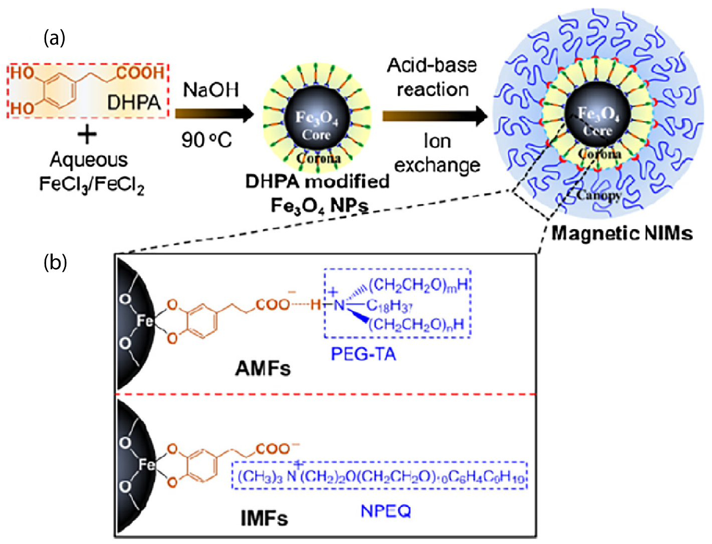 Nanomaterials 13 00002 g005