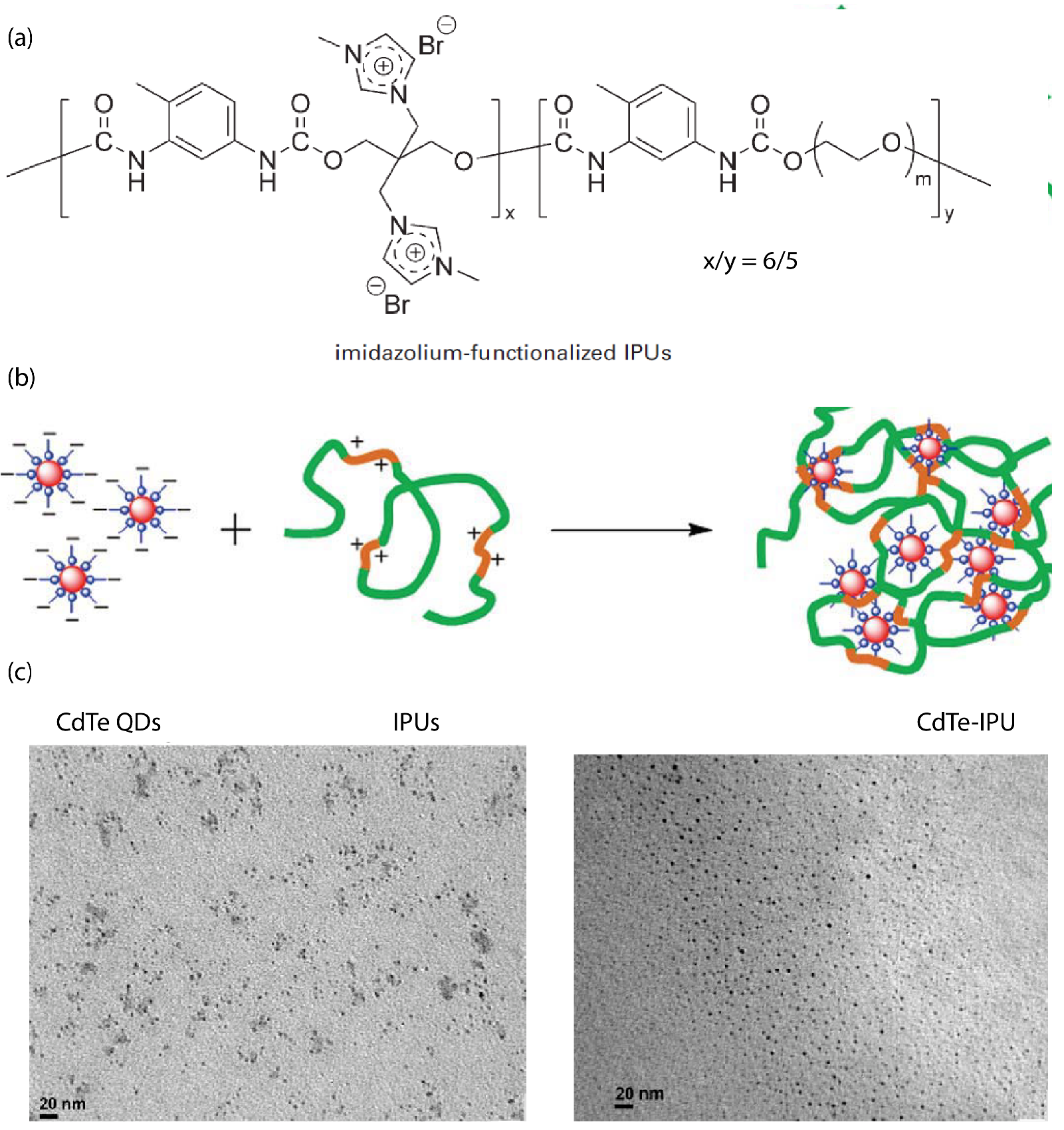 Nanomaterials 13 00002 g006