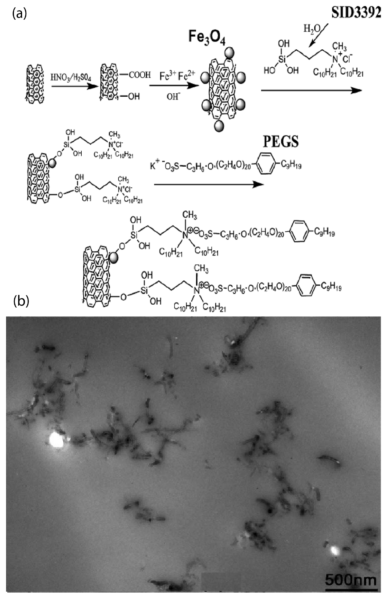 Nanomaterials 13 00002 g007
