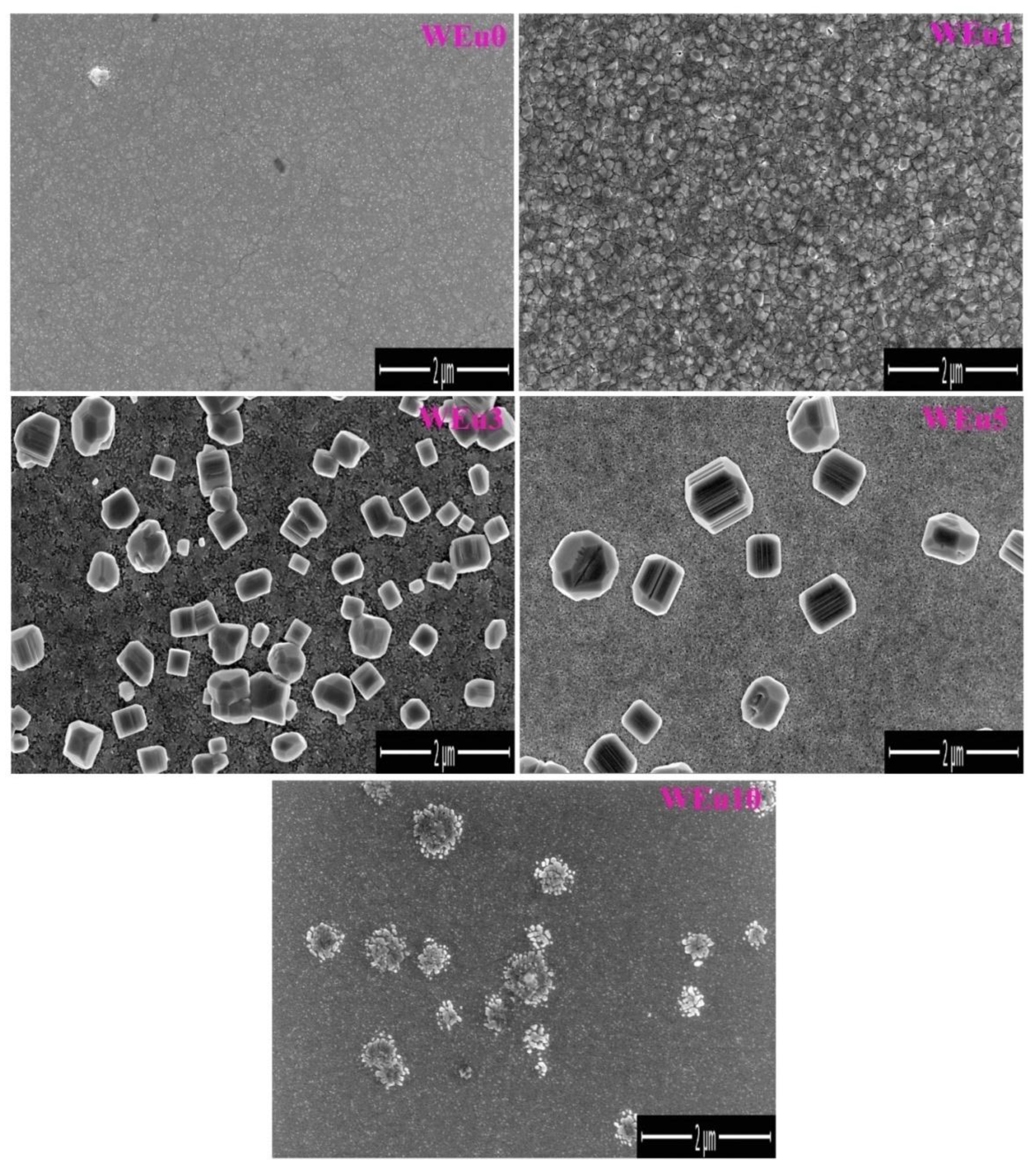 Nanomaterials 13 00007 g004 Nanomaterials 13 00007 g004