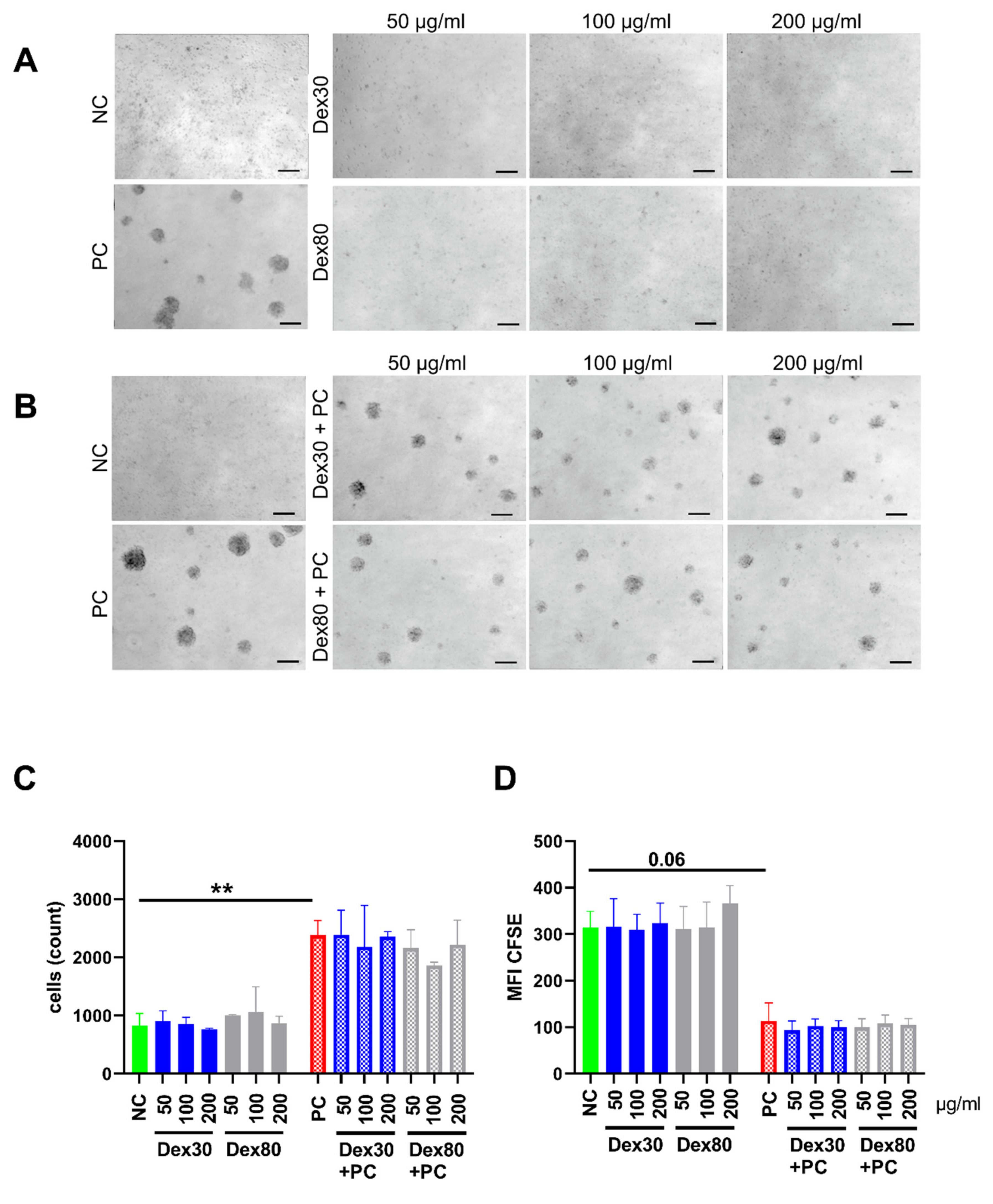 Nanomaterials 13 00014 g005