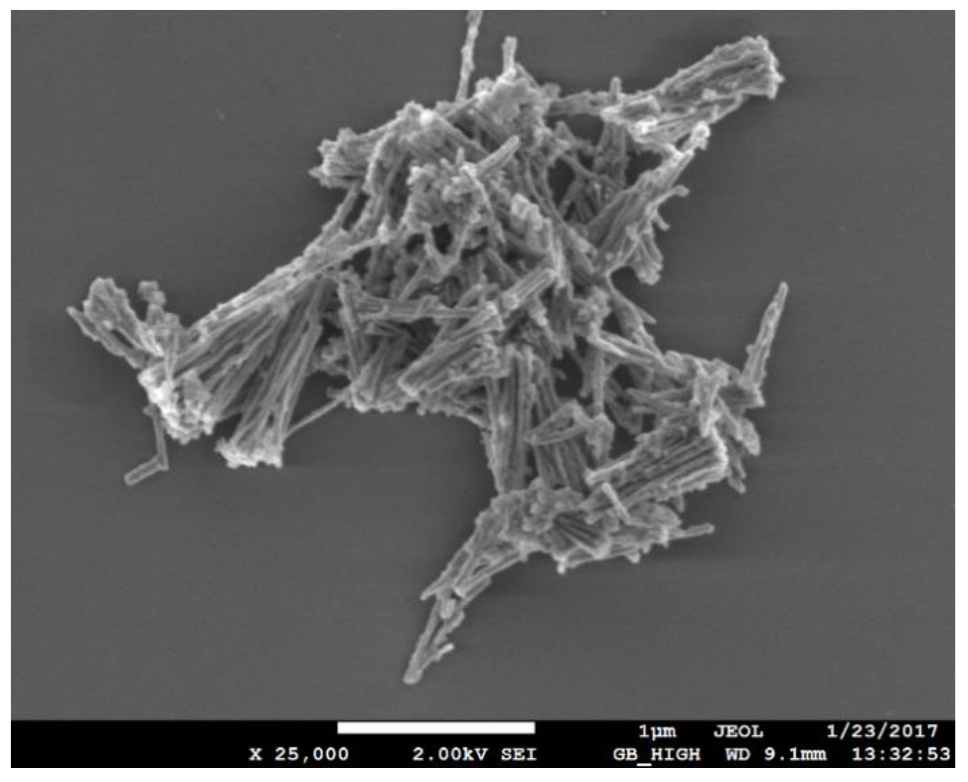 Nanomaterials 13 00015 g003 Nanomaterials 13 00015 g003