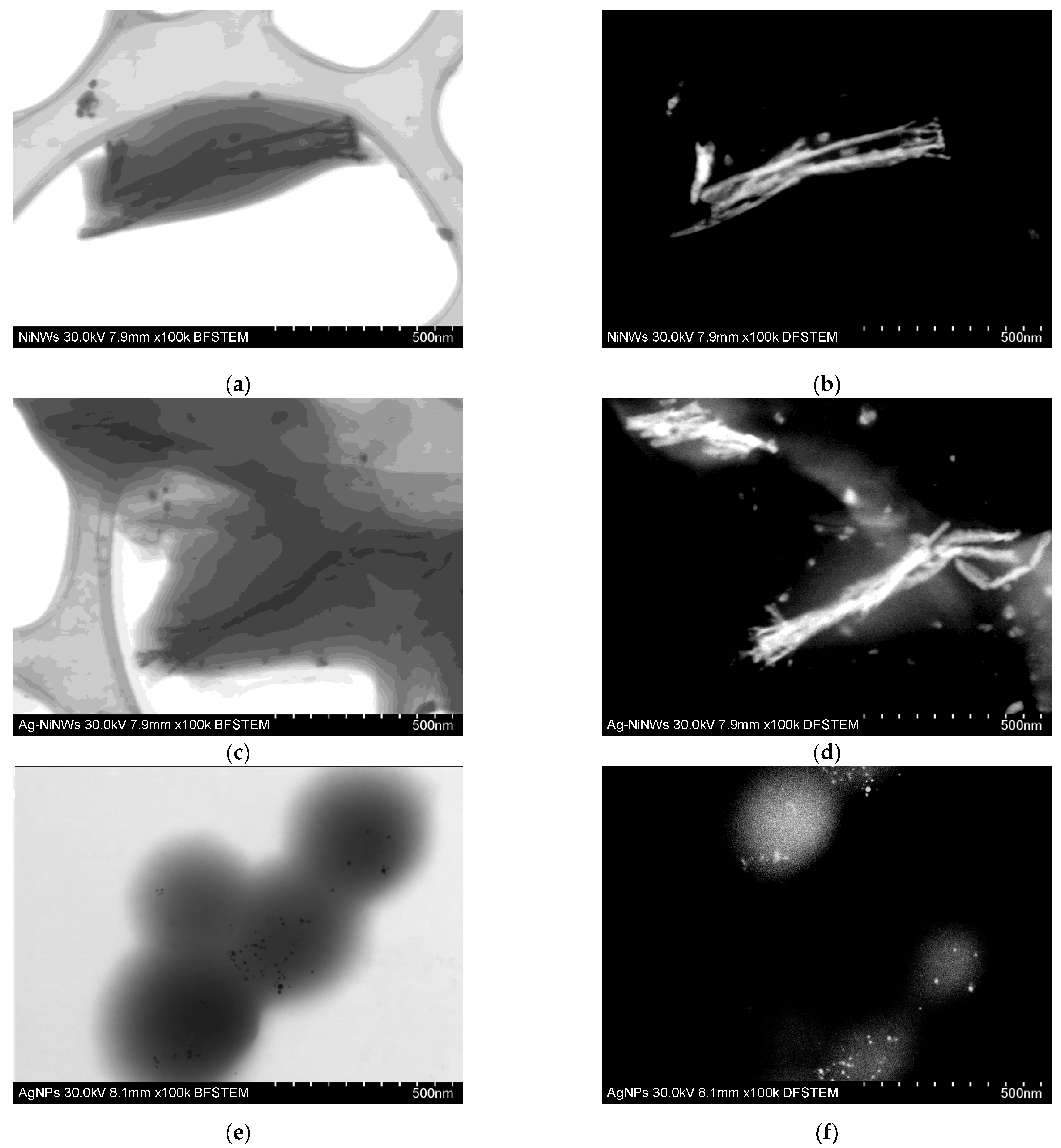 Nanomaterials 13 00015 g004 Nanomaterials 13 00015 g004