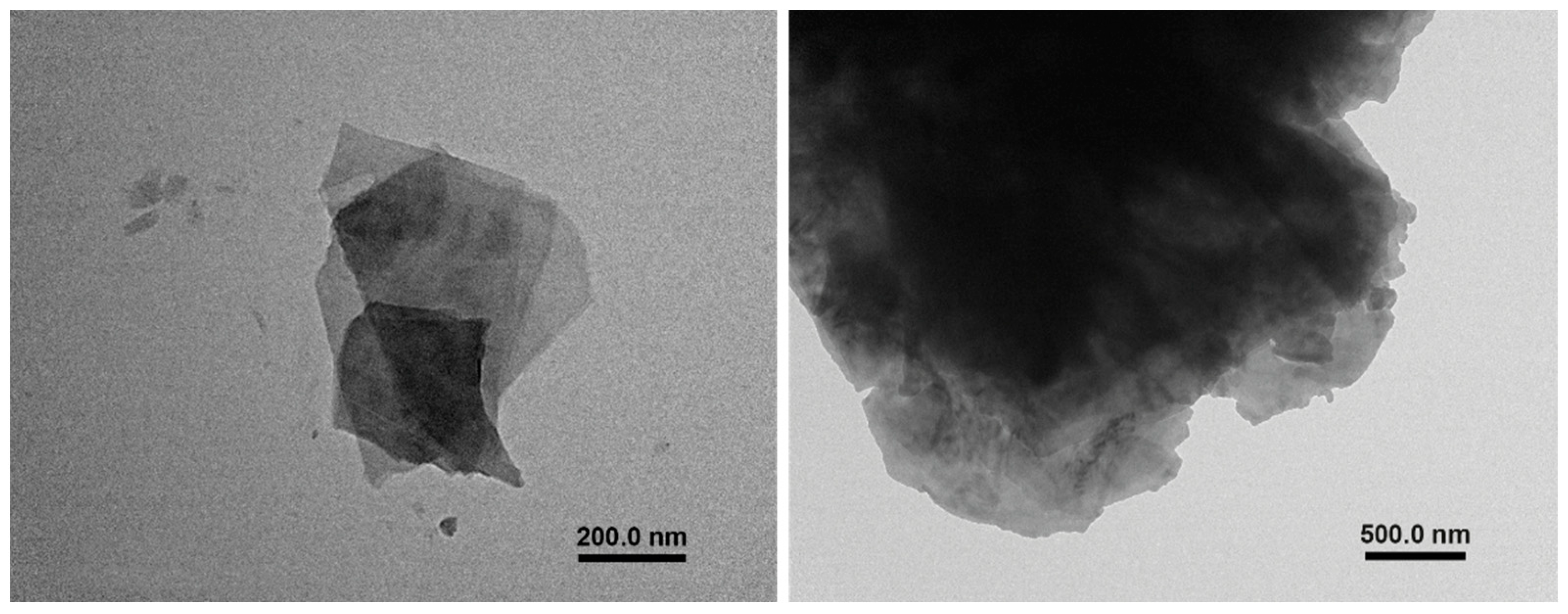 Nanomaterials 13 00021 g001