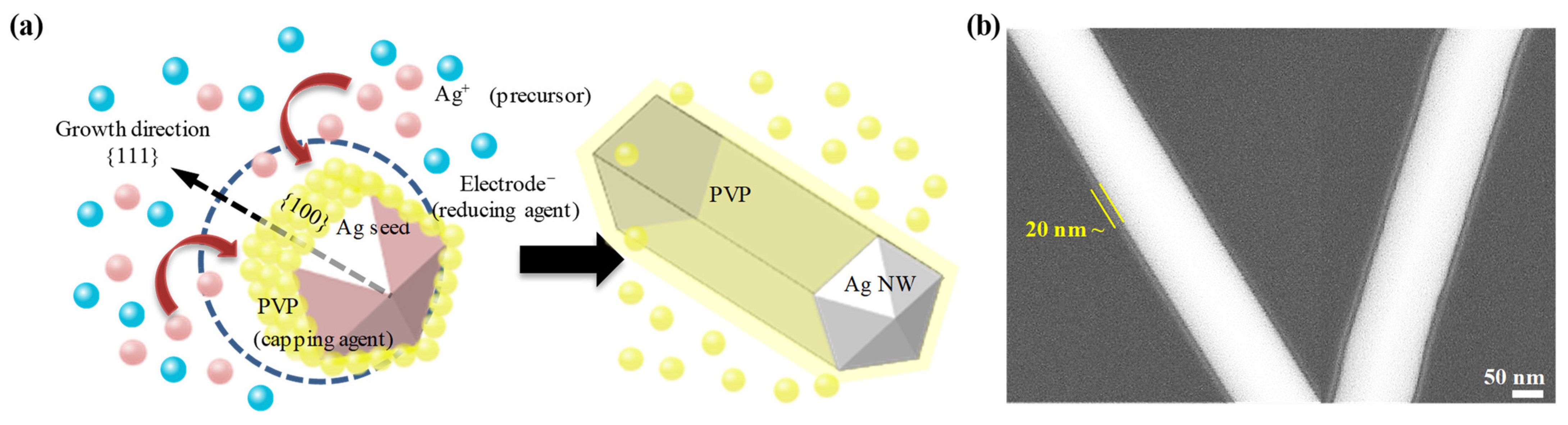 Nanomaterials 13 00032 g001