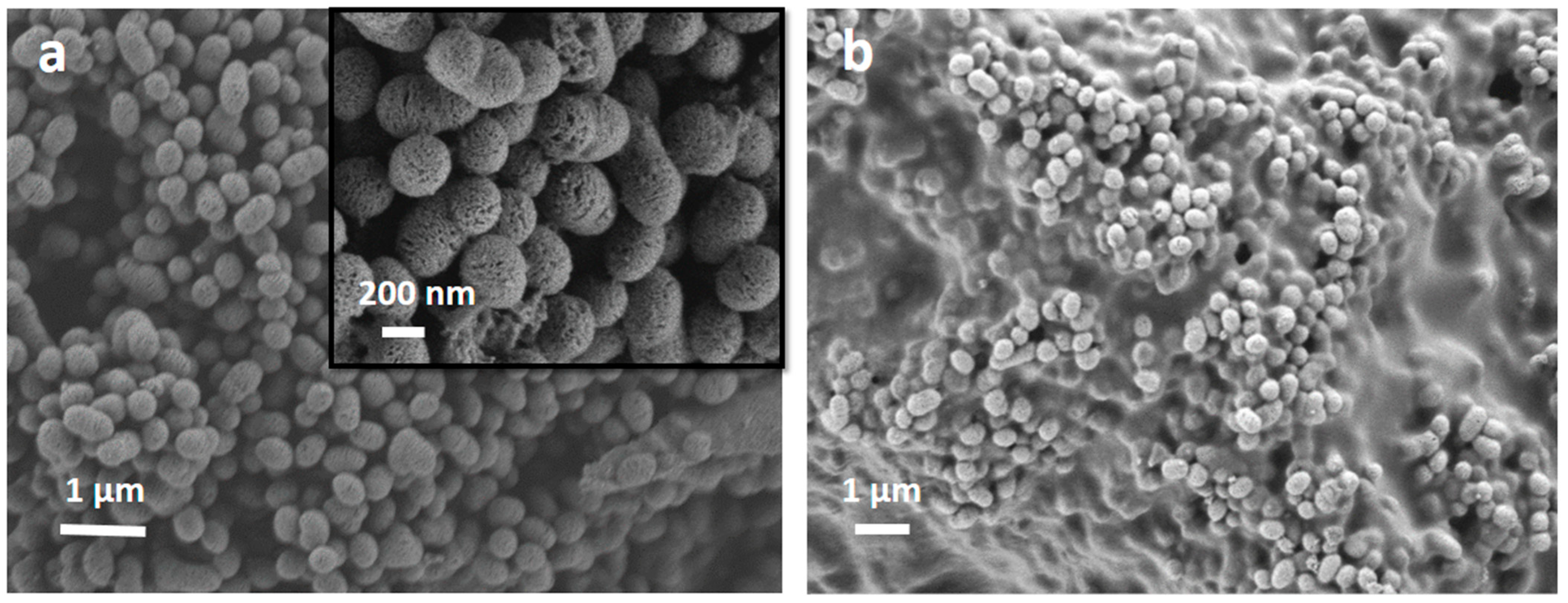 Nanomaterials 13 00034 g002