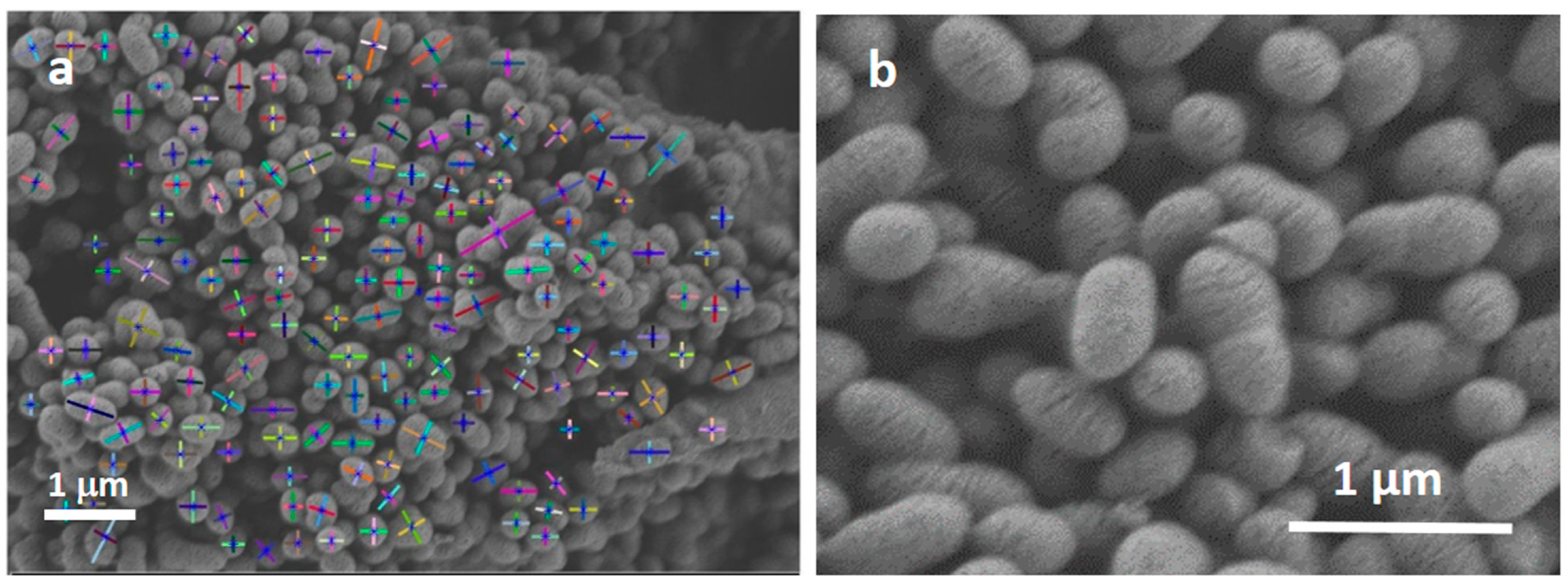 Nanomaterials 13 00034 g004