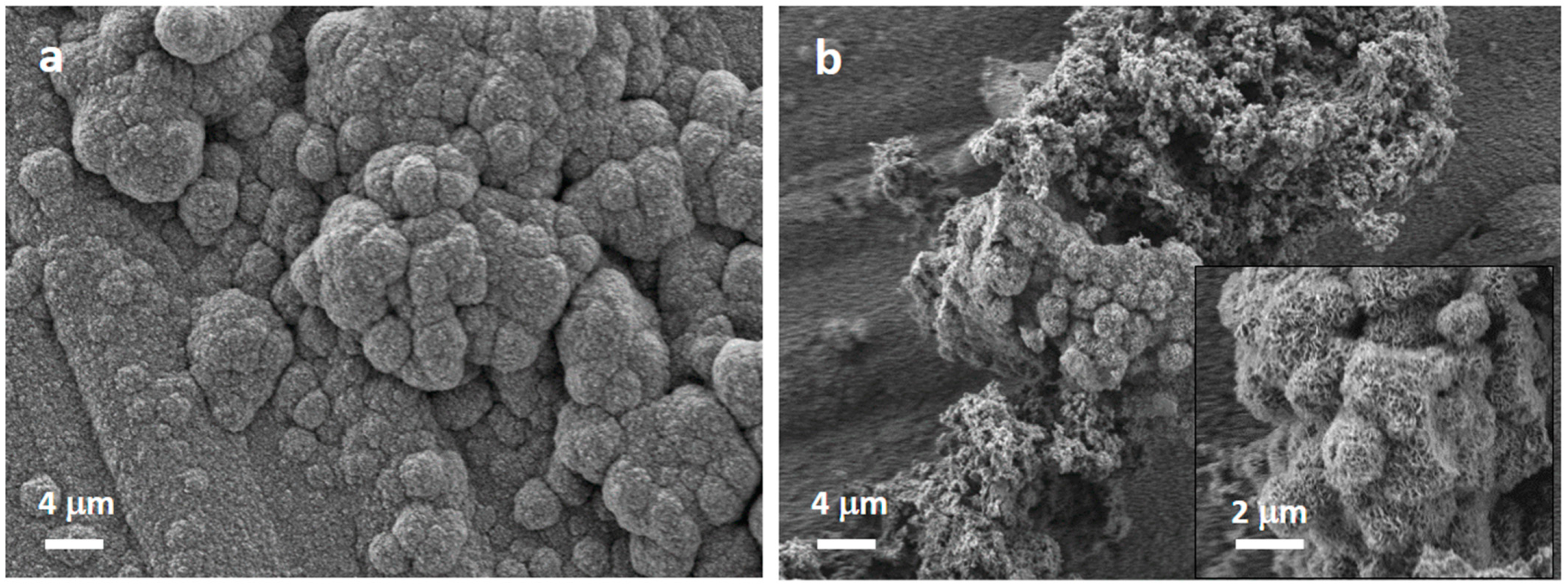 Nanomaterials 13 00034 g007