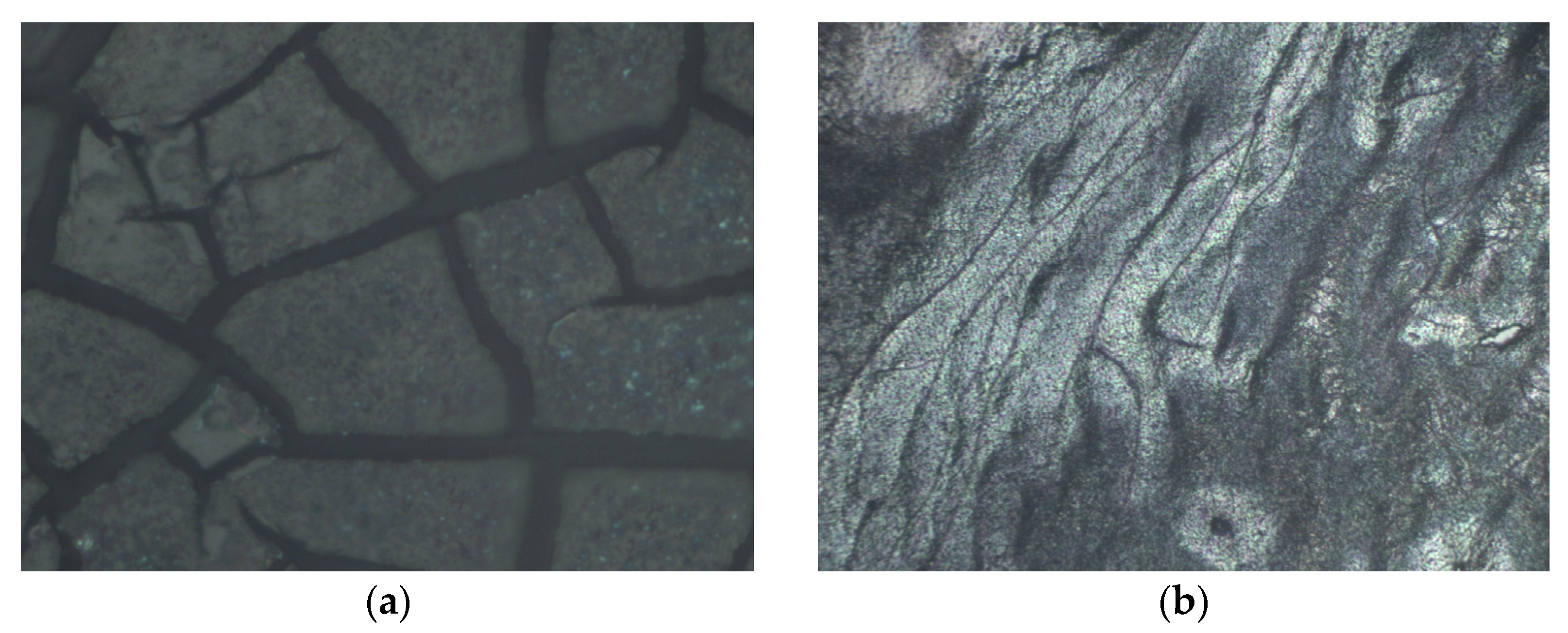 Nanomaterials 13 00041 g001