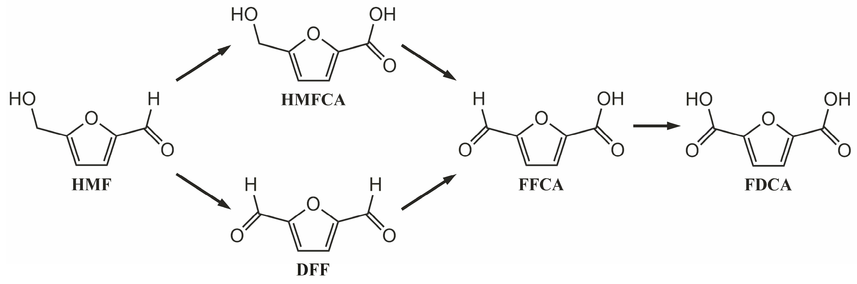 Nanomaterials 13 00044 sch001